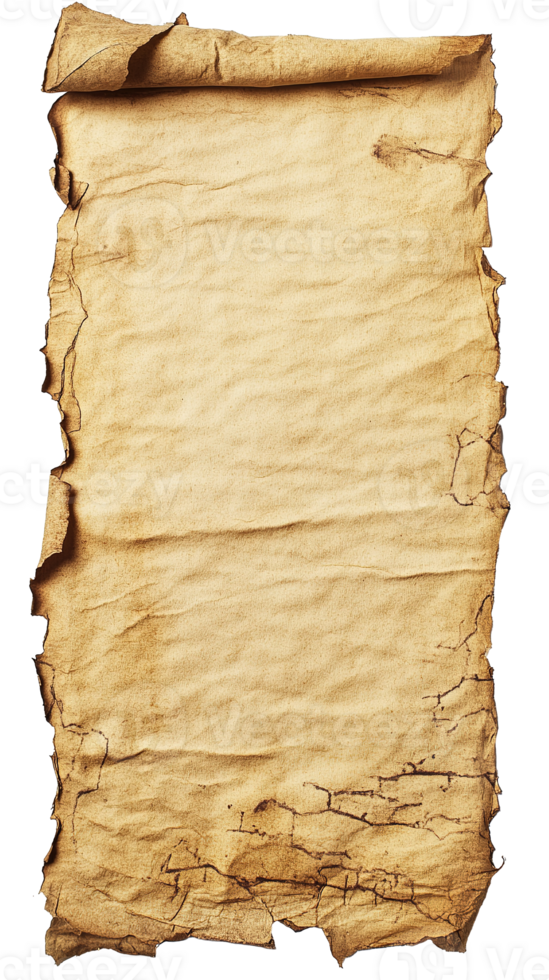 Blank Ancient Parchment Paper Sheet Isolated at Transparent Background png