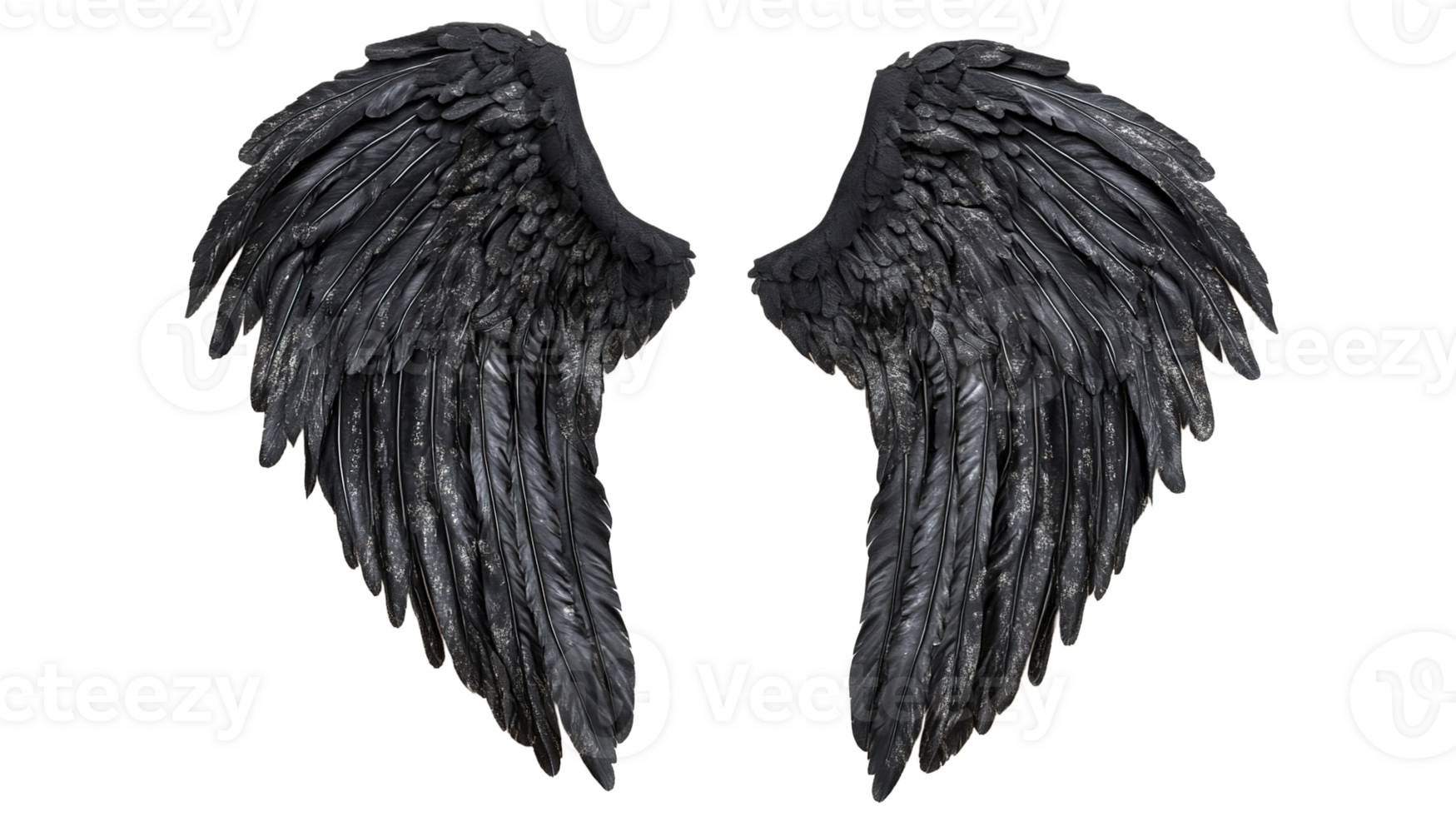 Pair of Black Angel Wings Isolated at the Transparent Background png