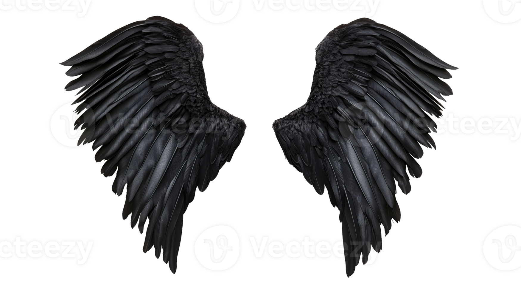 Pair of Black Angel Wings Isolated on Transparent Background png