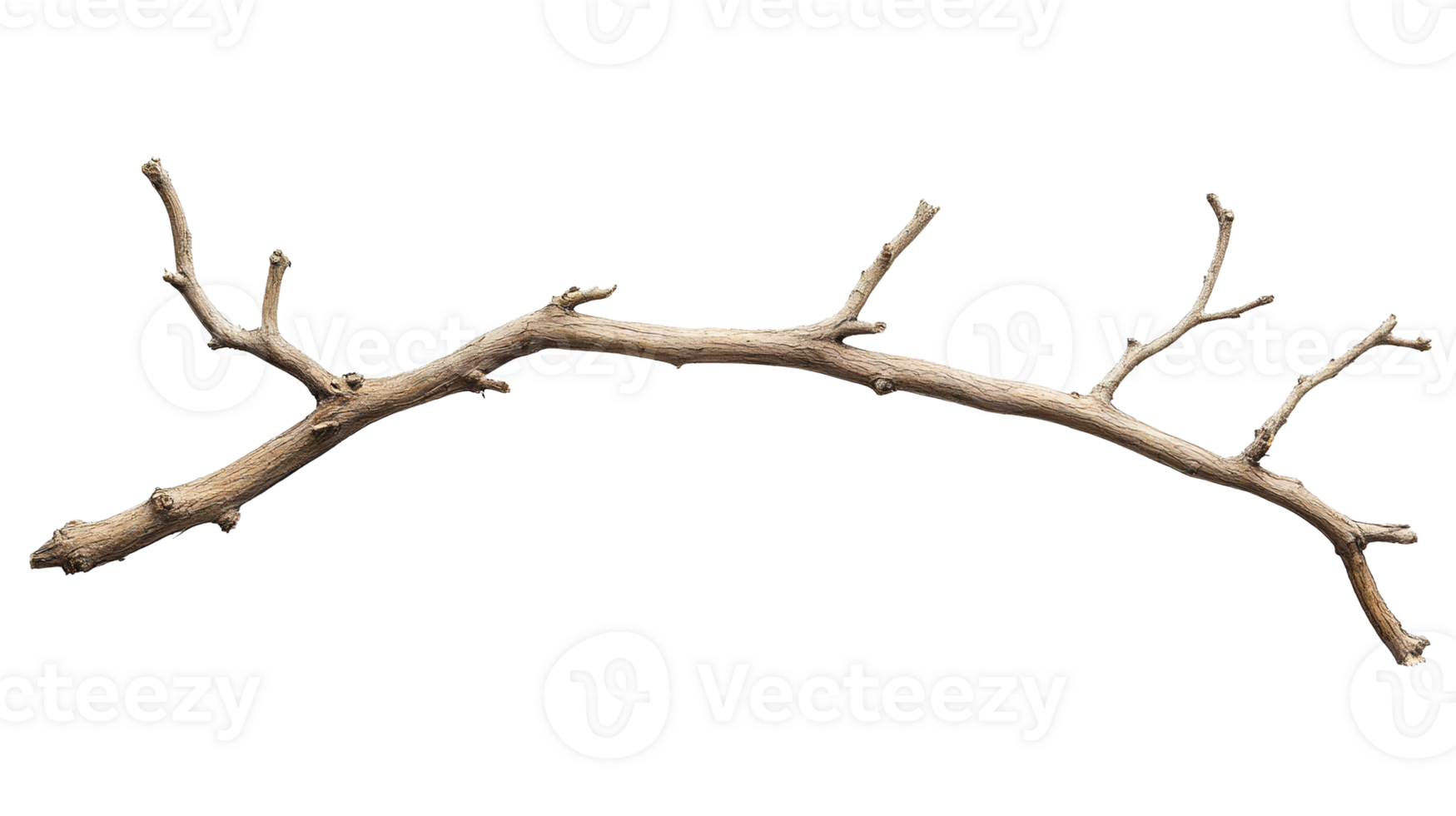 Rustic Wooden Branch Isolated at Transparent Background png