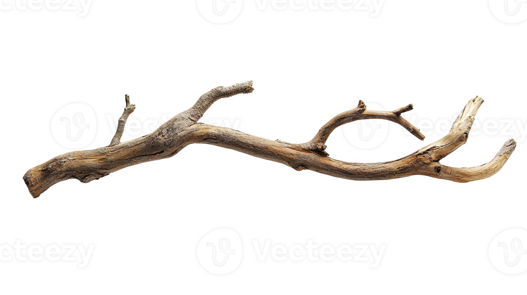 Rustic Wooden Branch Isolated at the Transparent Background png