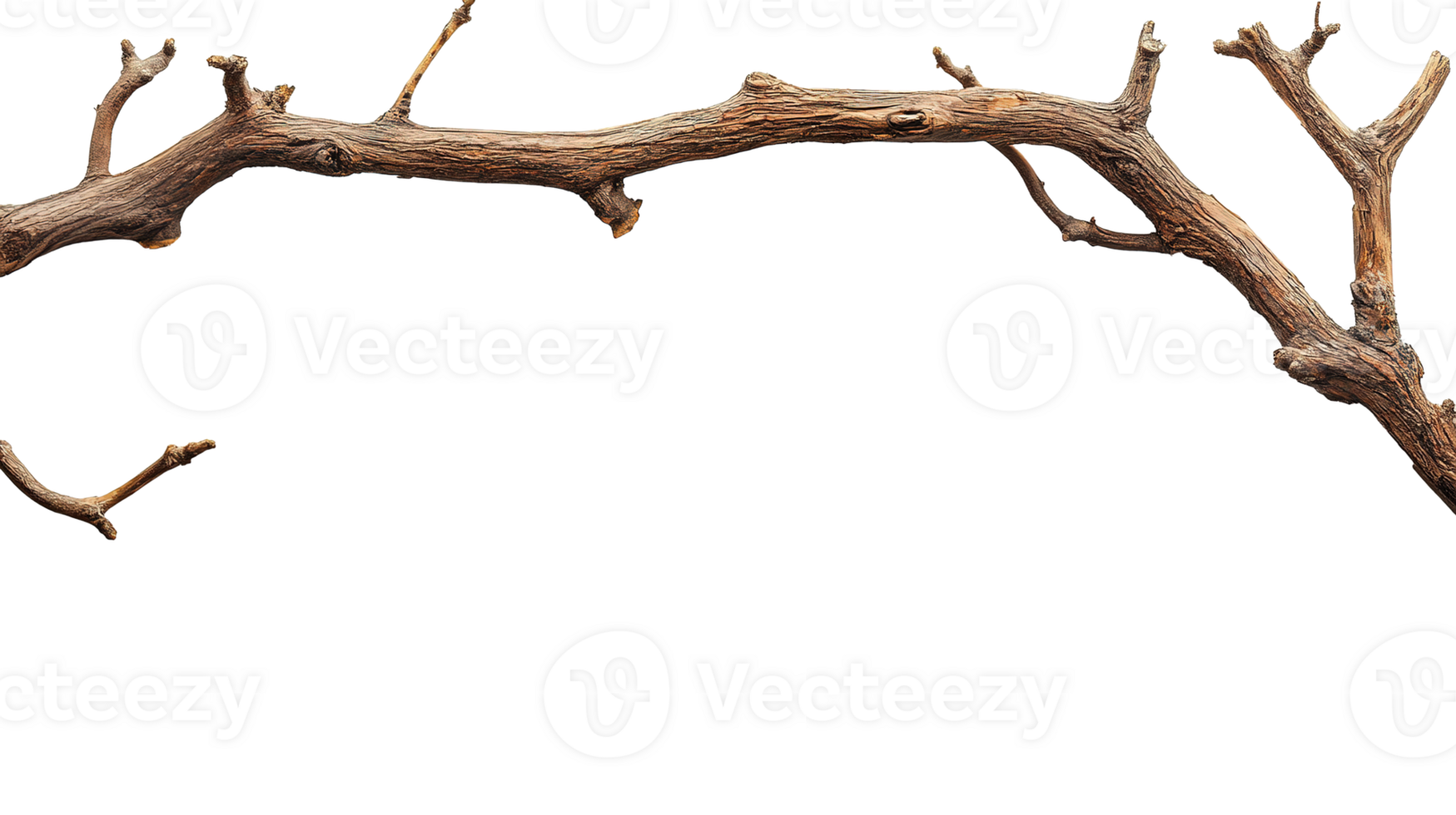Rustic Wooden Branch Isolated on Transparent Background png
