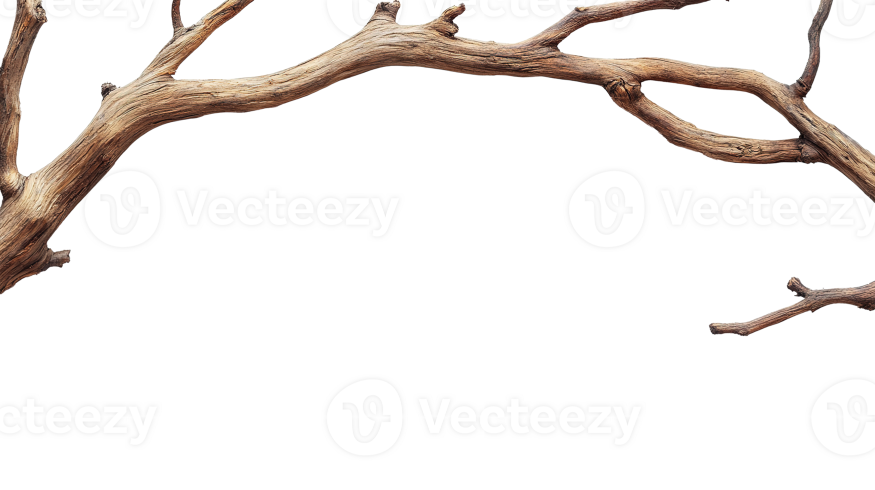 Rustic Wooden Branch Isolated on the Transparent Background png