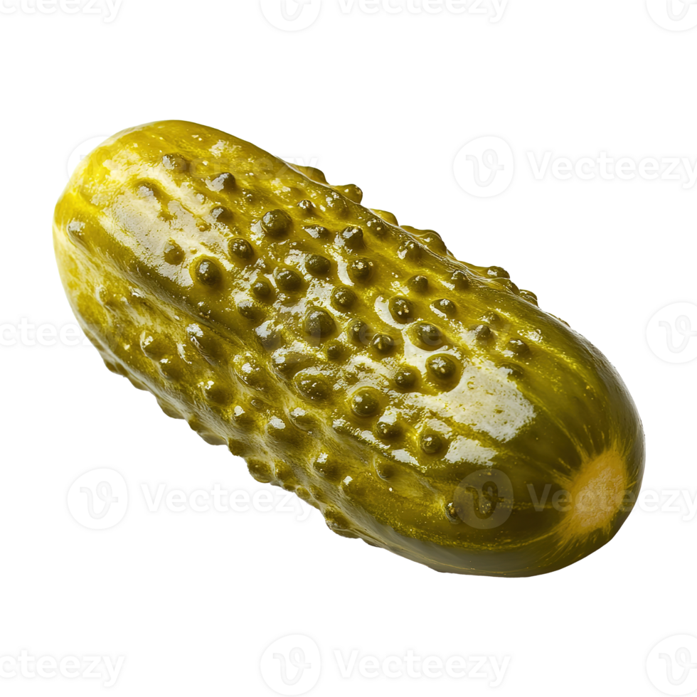 Pickled Cucumber Marinated and Isolated at Transparent Background png
