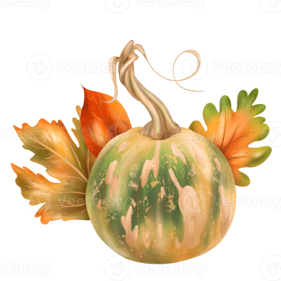 Autumn composition of ripe orange pumpkin and fall leaves. Farm vegetables, healthy food. Garden plants, agriculture. Isolated digital handmade illustration. Element of design of printing, packaging png