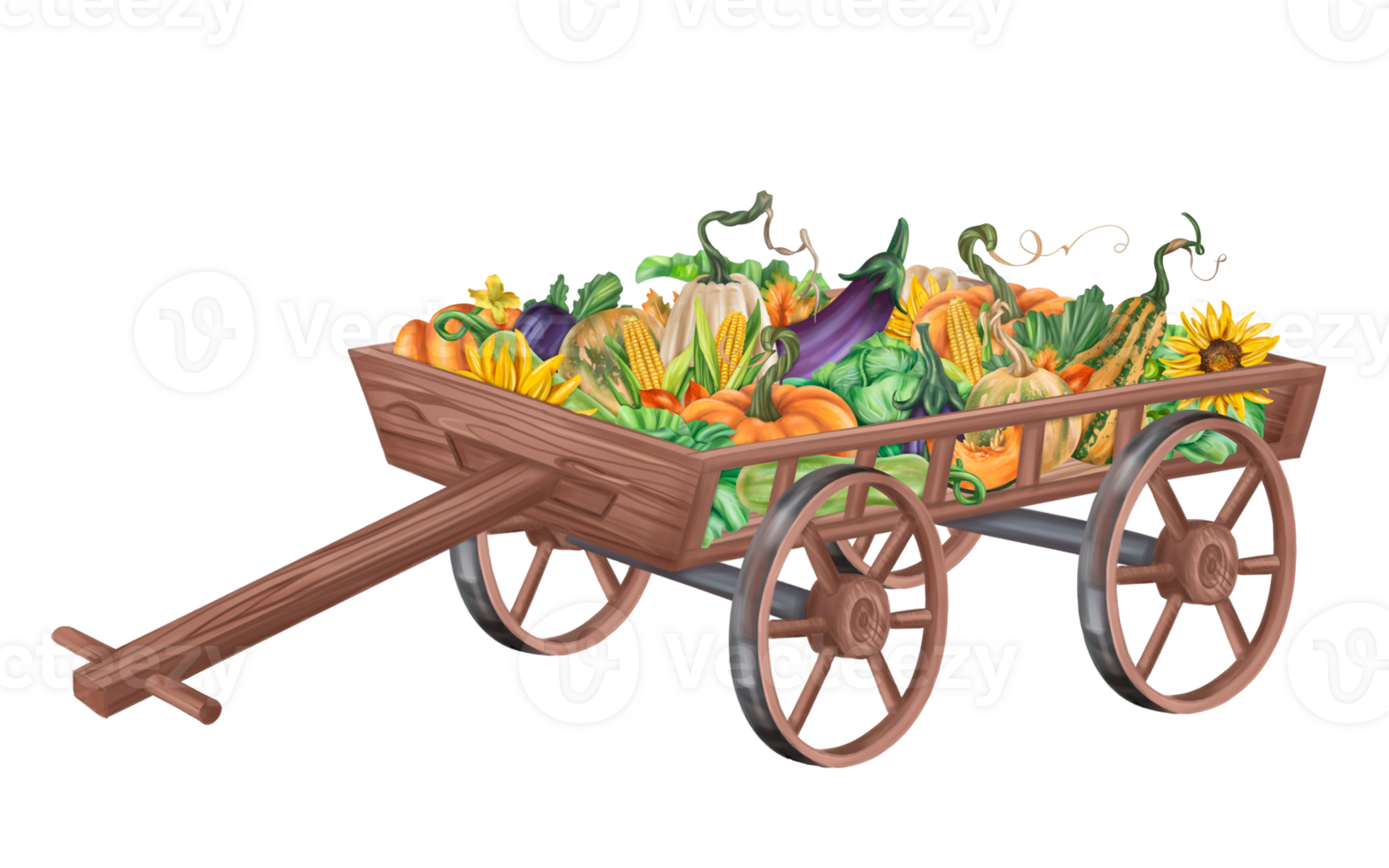 Autumn garden with a cart with a bunch of harvest pumpkins, cabbage, eggplant, corn, squash. Healthy seasonal vegetables. Farm fields, garden. Autumn festival, Halloween. Isolated illustration png
