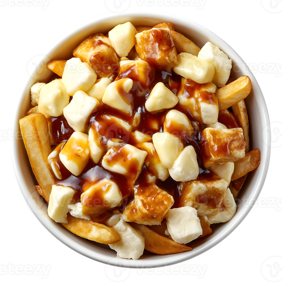 A bowl of french fries with cheese and gravy png