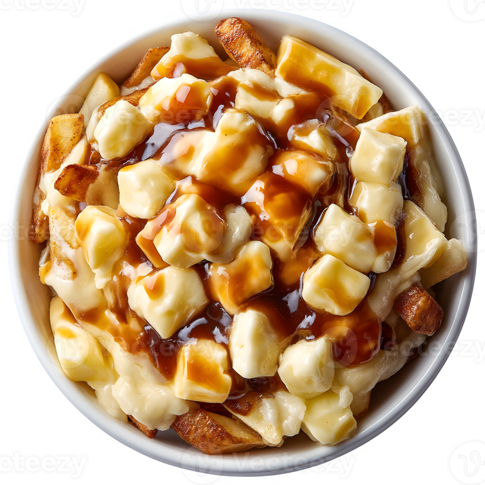 A bowl of french fries topped with caramelized onions png