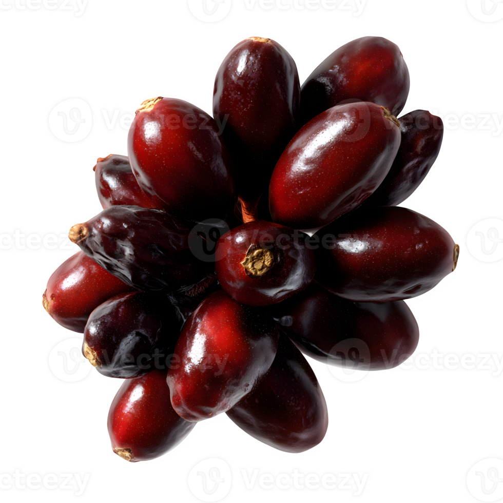 Fresh whole barberry fruits isolated on white background perfect for food blogs recipes and culinary websites showcasing vibrant autumnal colors and textures png