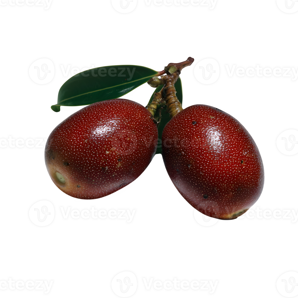 A vibrant whole langsat fruit isolated on white background perfect for food blogs websites and culinary publications showcasing its exotic appeal png