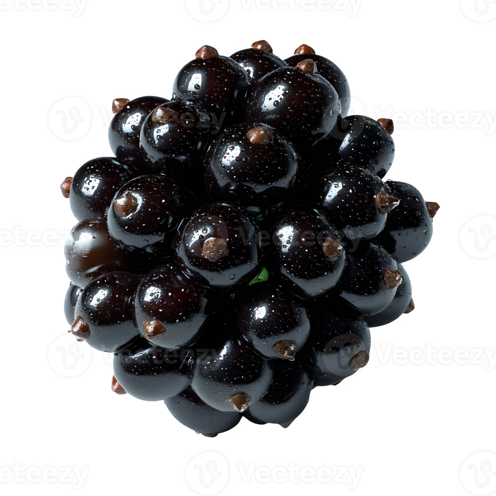 A single whole olallieberry fruit isolated on a white background perfect for food blogs recipes and culinary projects png