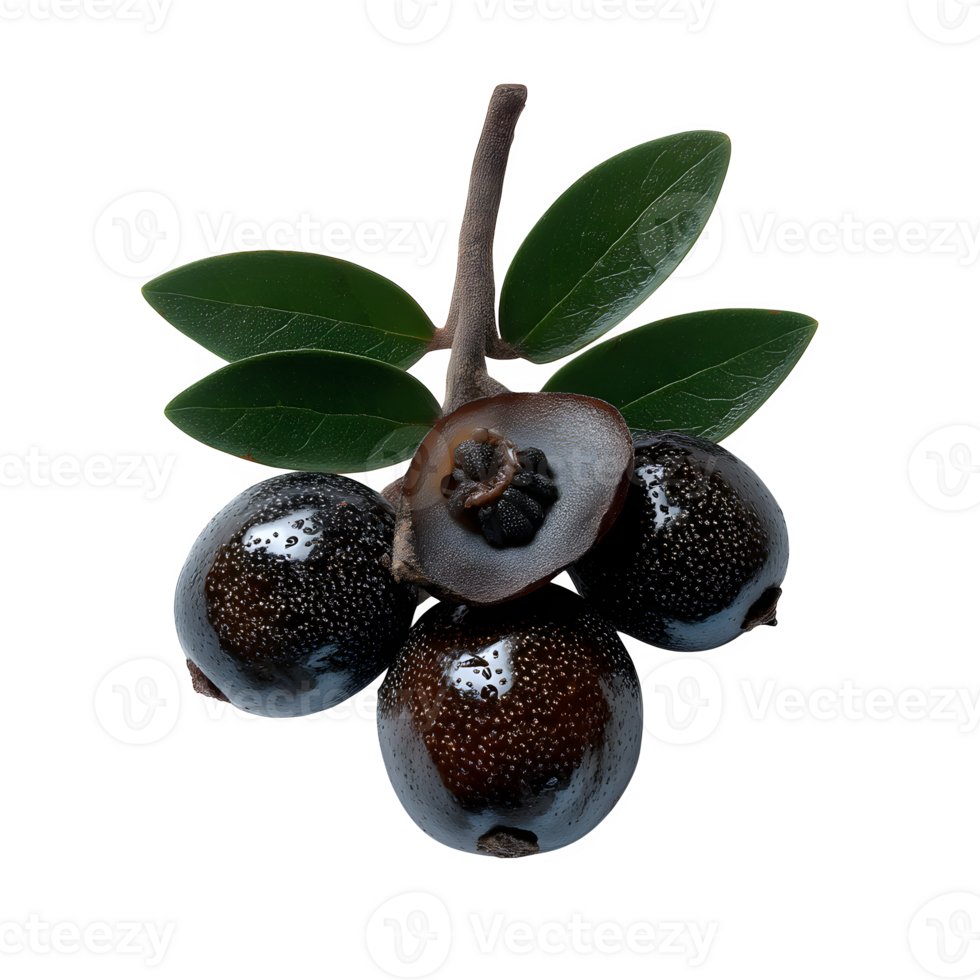 A single whole silverberry fruit isolated on a white background perfect for food blogs websites and culinary projects showcasing its unique texture and vibrant color png