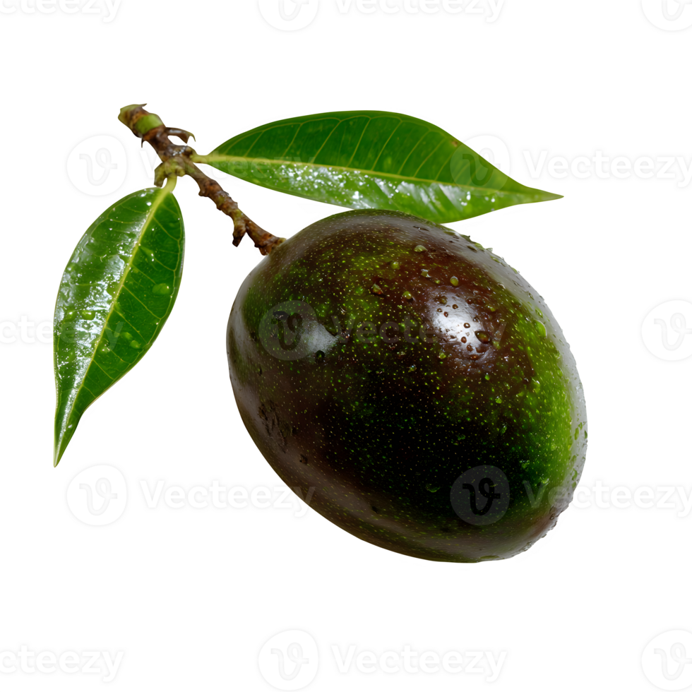 A vibrant whole wild mango fruit isolated on white background perfect for food packaging design and tropical themes png