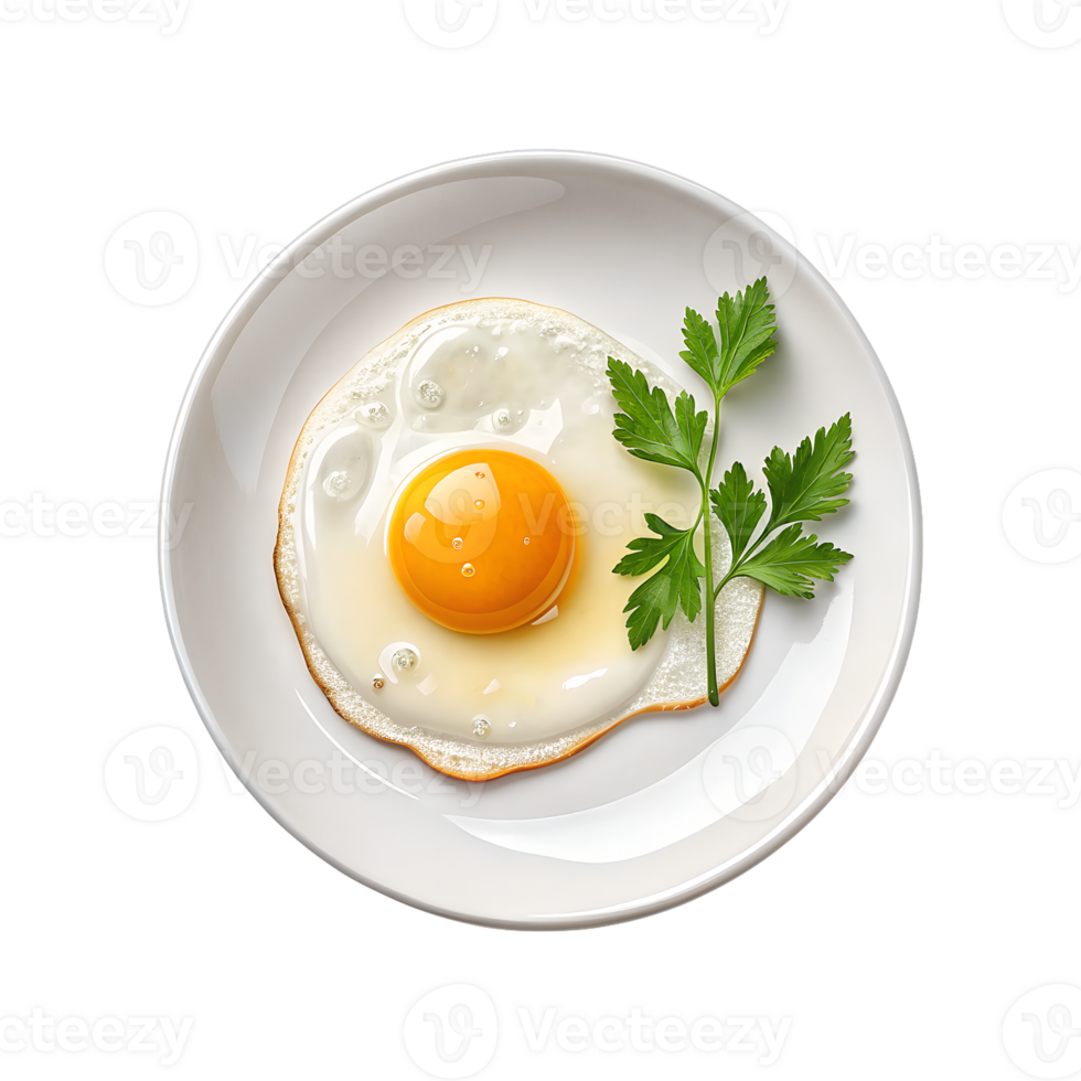 Fried Egg with Parsley on White Plate Top View on Transparent Background png