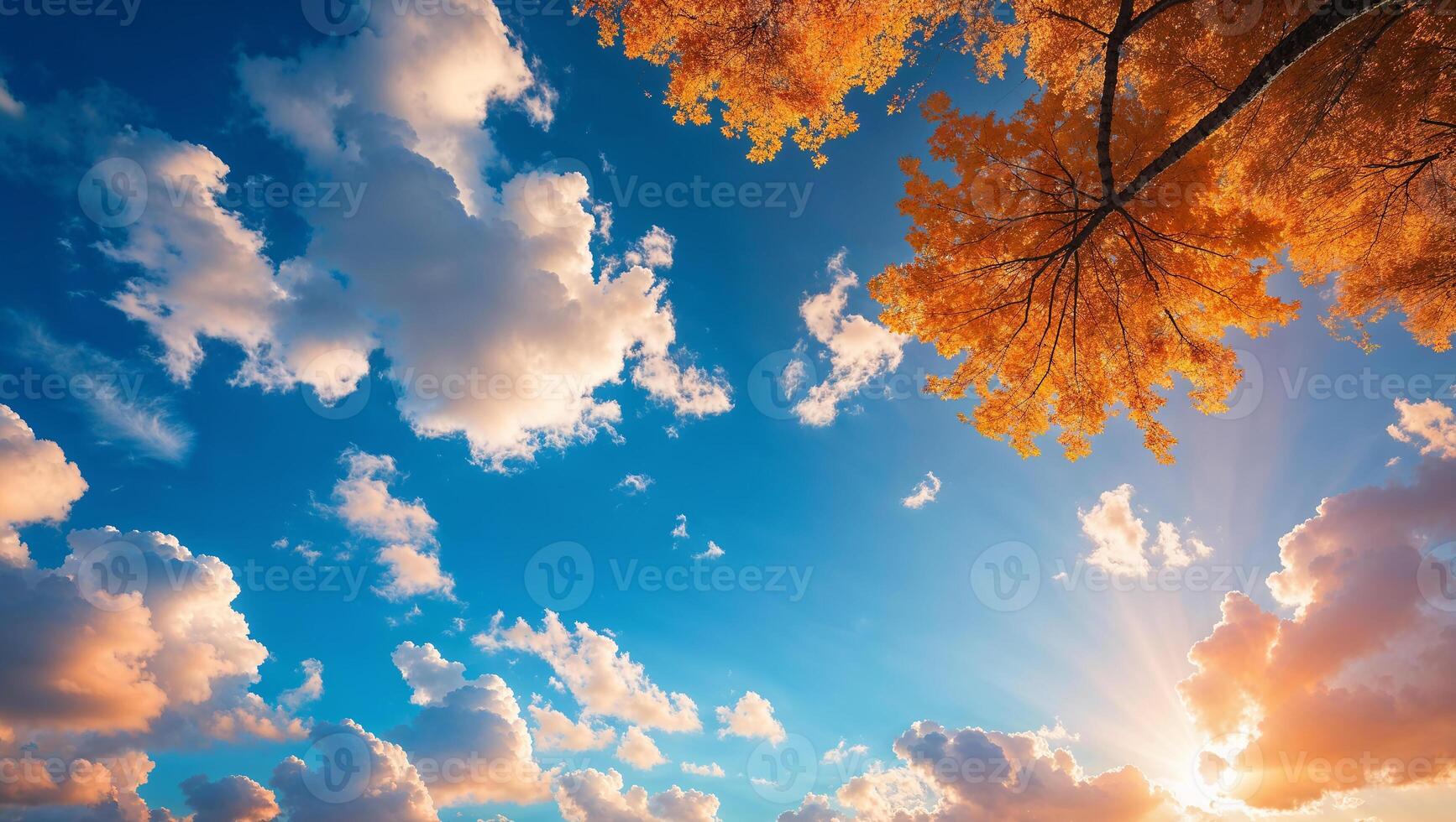 Golden autumn treetop reaching for the cloudy sky at sunset photo