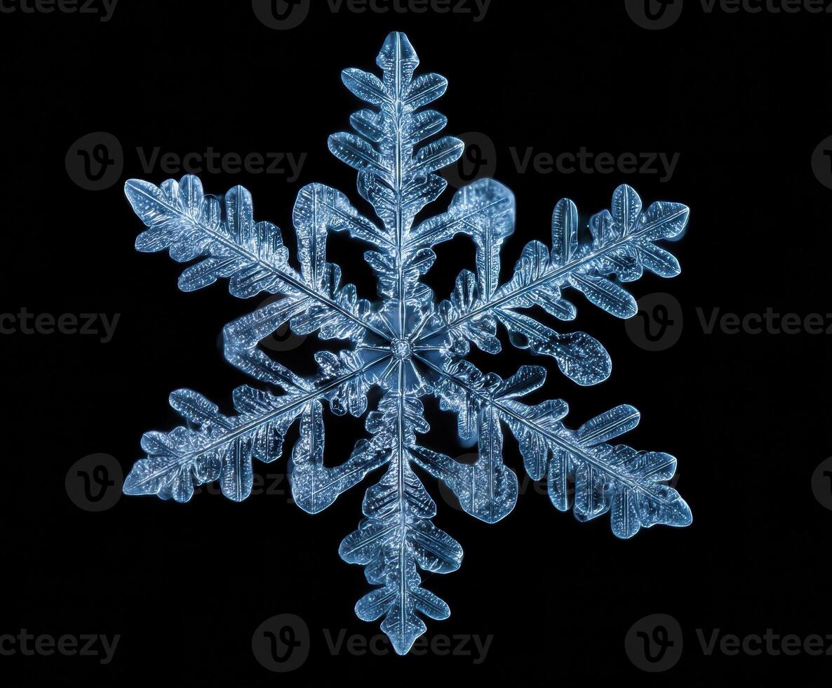 Unique crystal patterns in intricate snowflake design photo