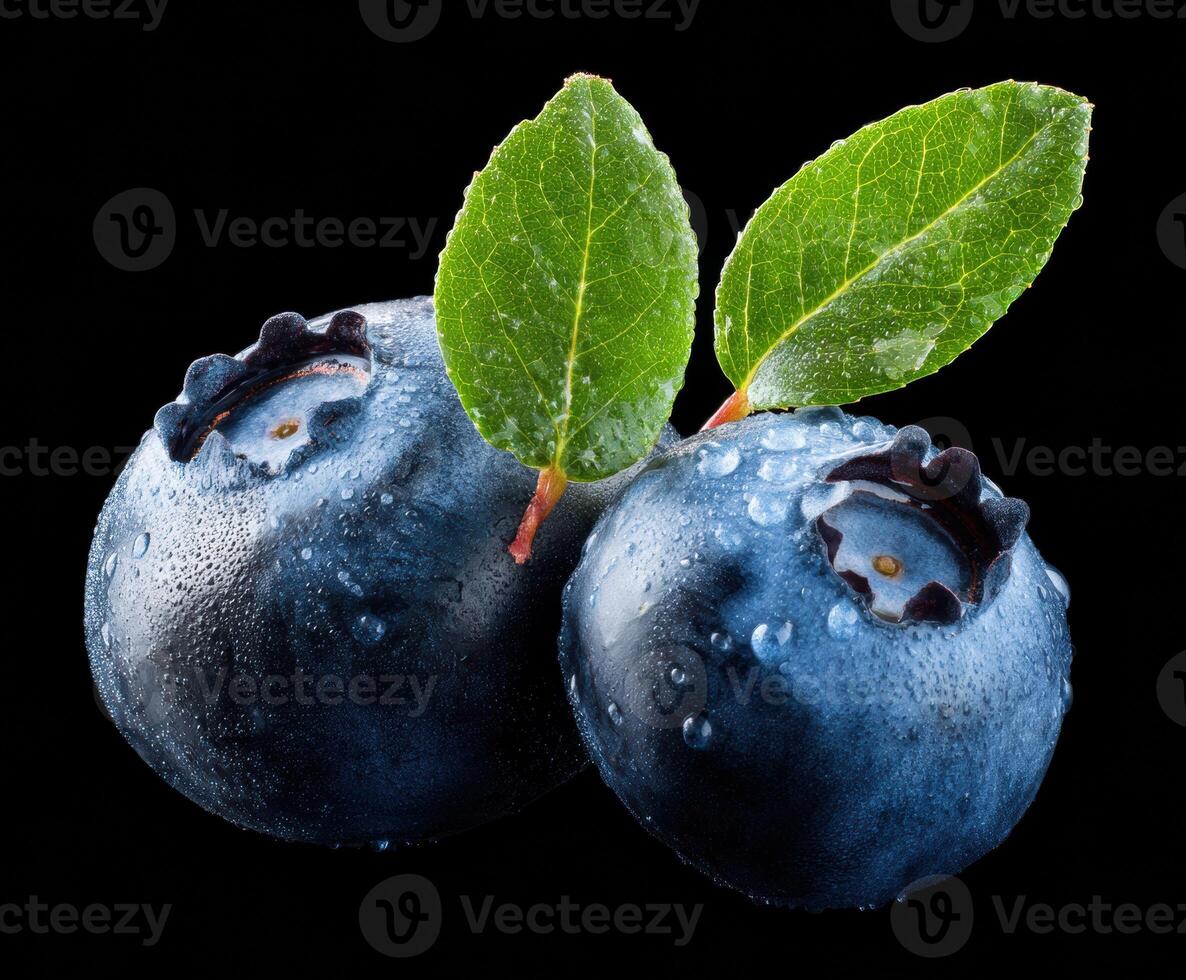 Fresh blueberries with dew and green leaves for snacks photo