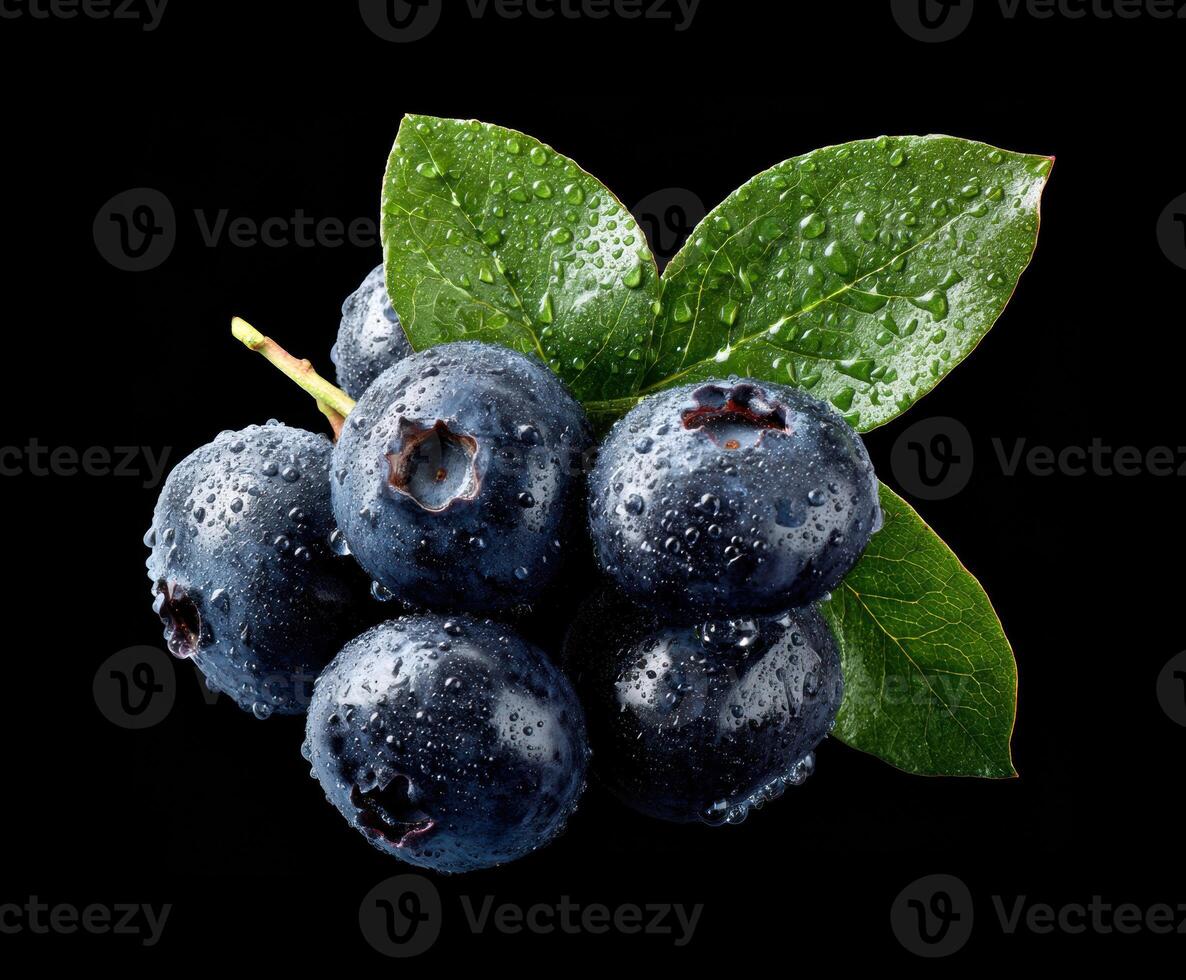 Fresh blueberries with dew and green leaves on a dark background photo