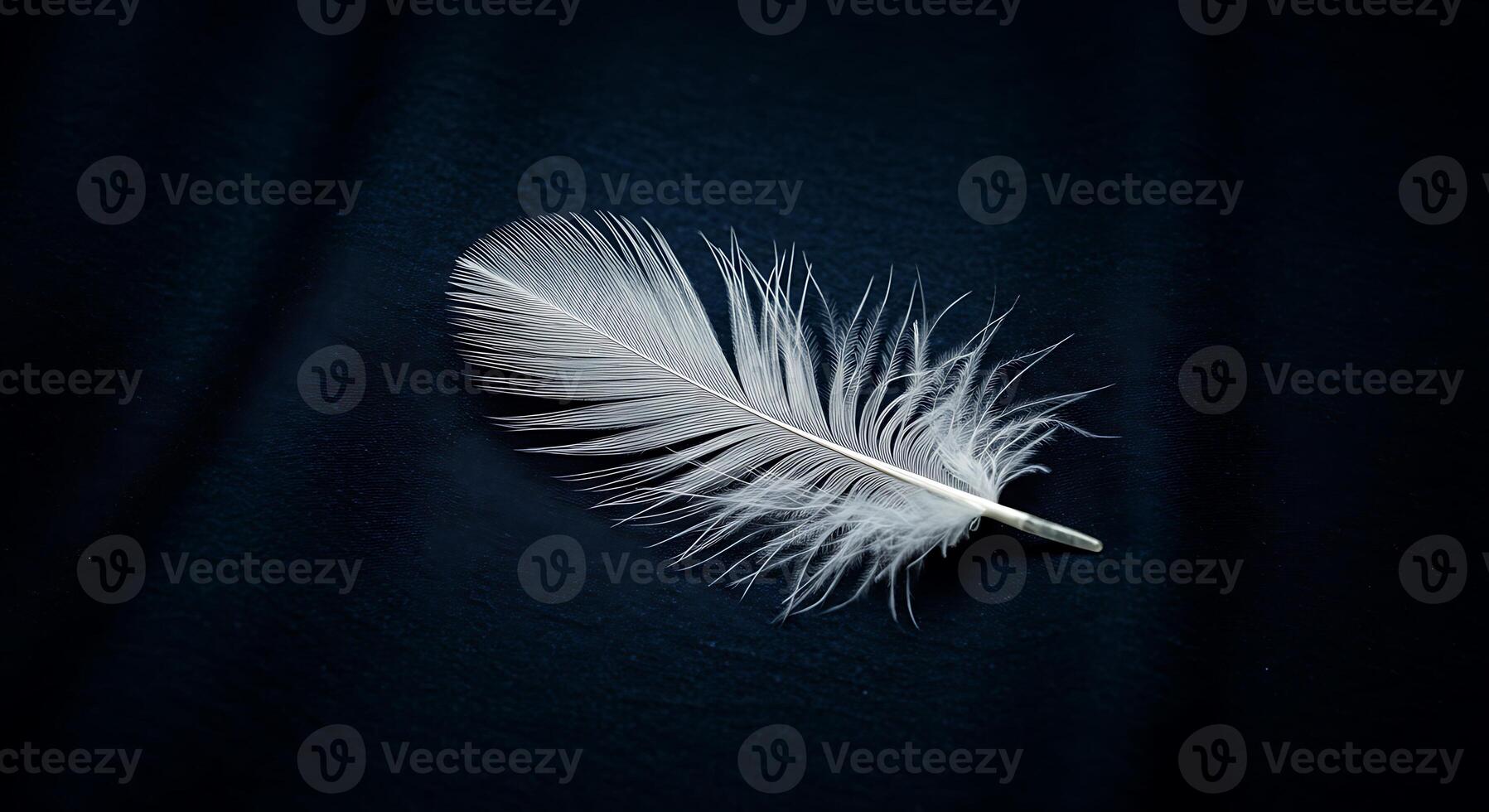 A white feather on a dark background photo