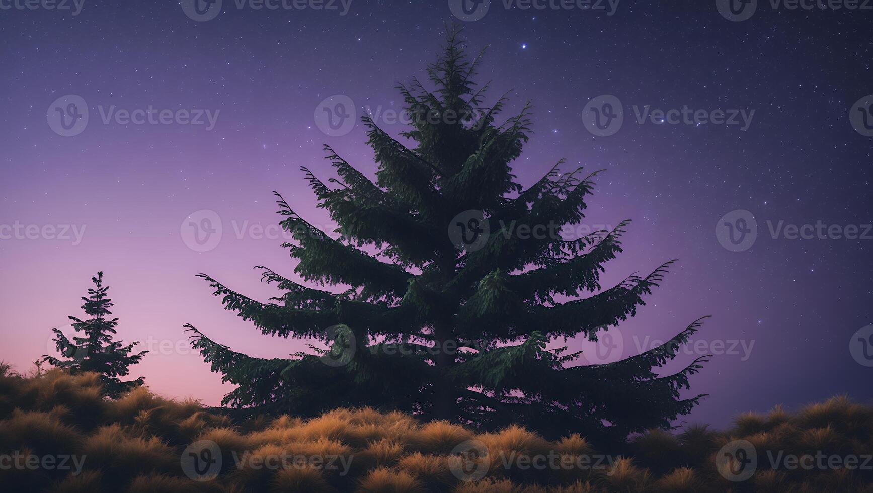 Pine Tree Against Purple Night Sky with Stars photo