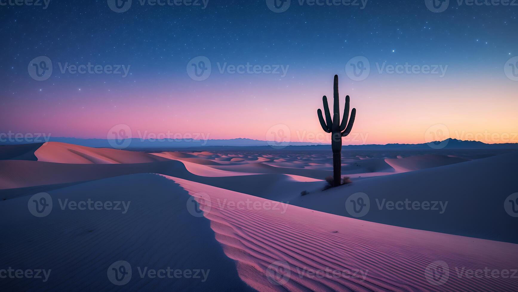 Cactus in Sand Dunes at Dusk with Stars photo