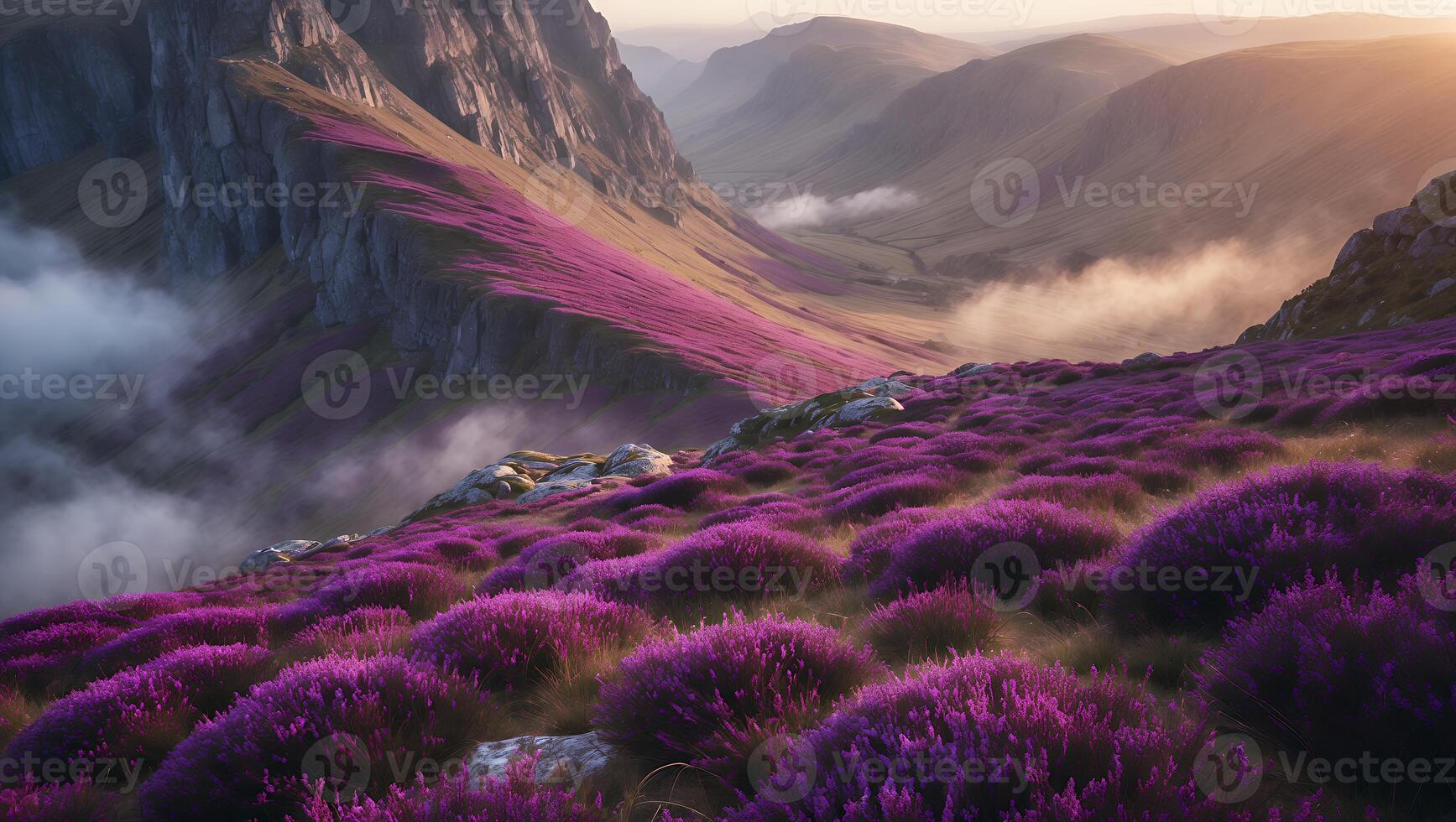 Purple Heather Bloom in Mountain Valley Landscape photo