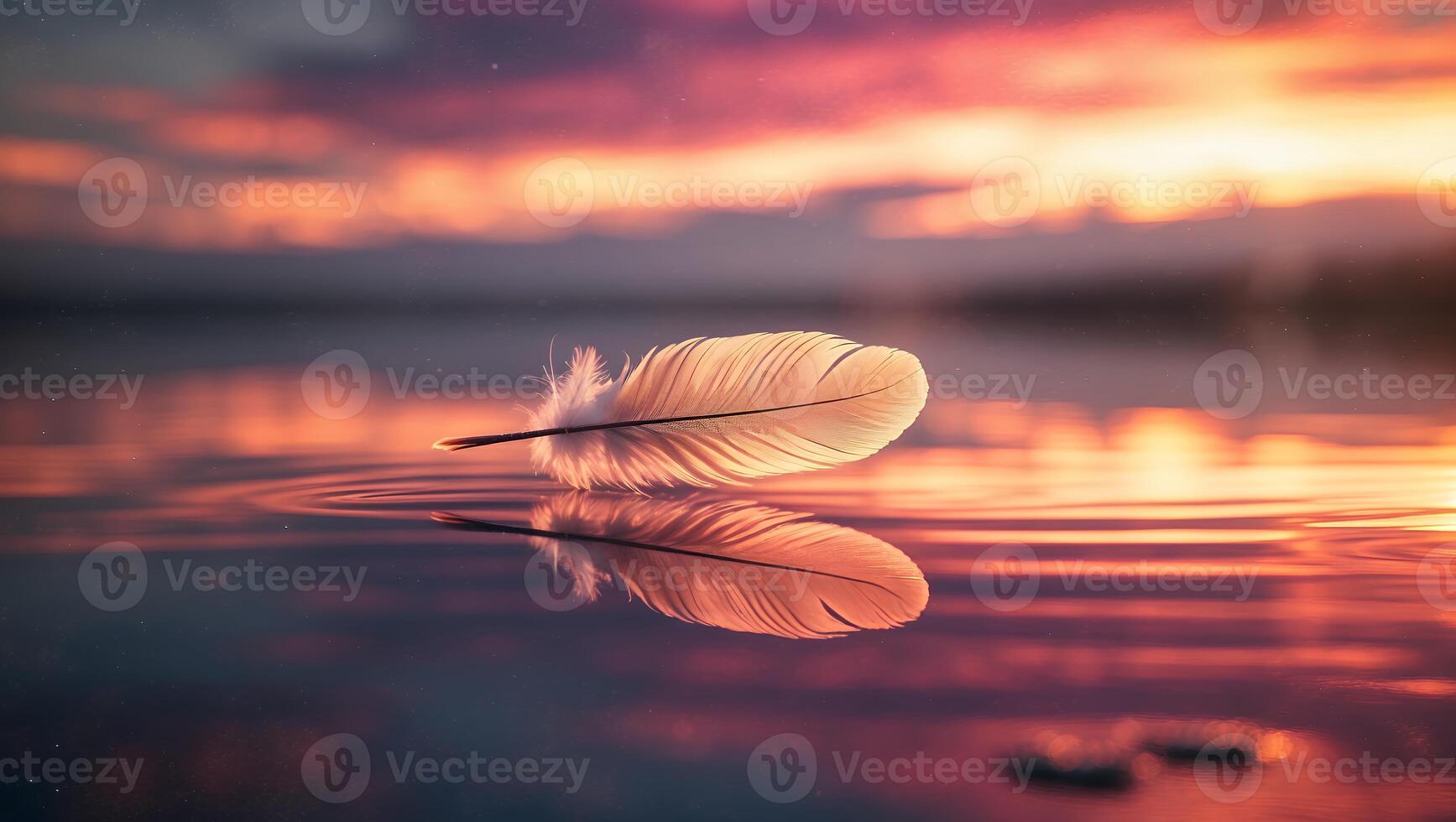 Feather Floating on Water During Sunset photo