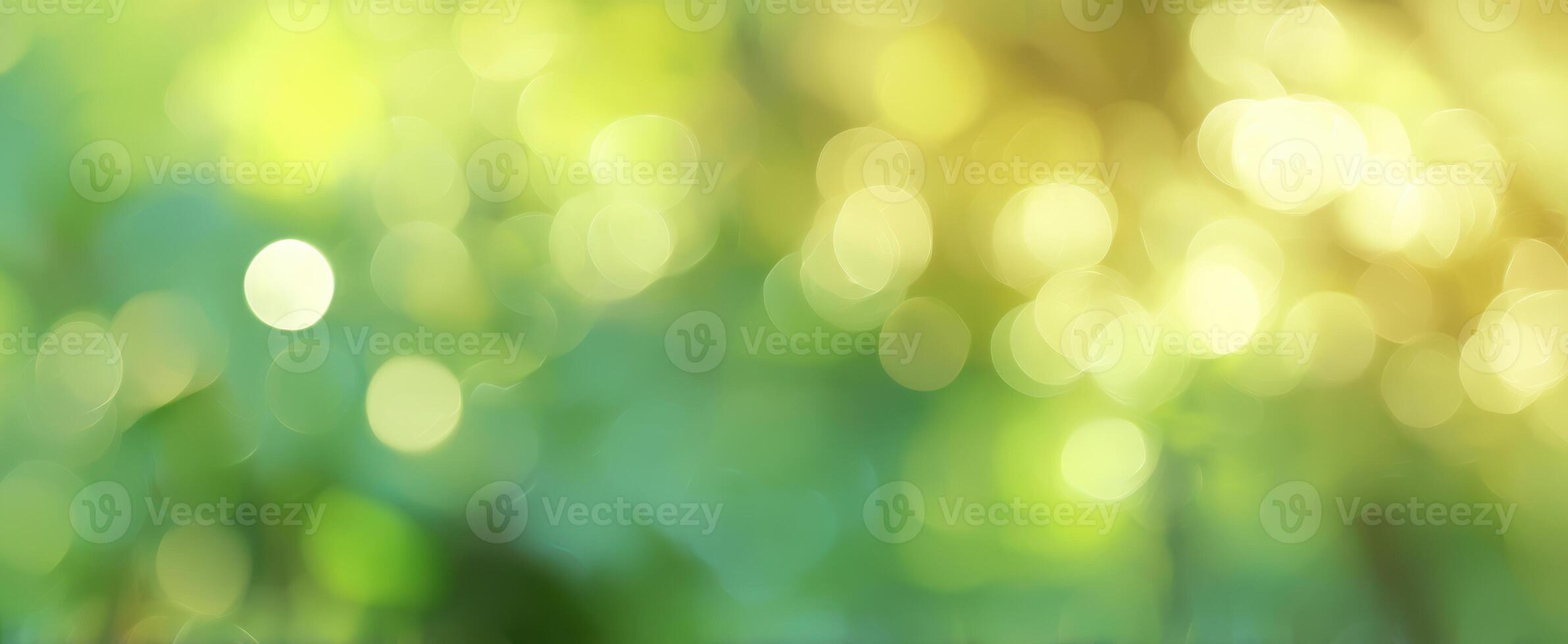 The Soft Glow of Nature's Bokeh Background in Lush Green Settings photo