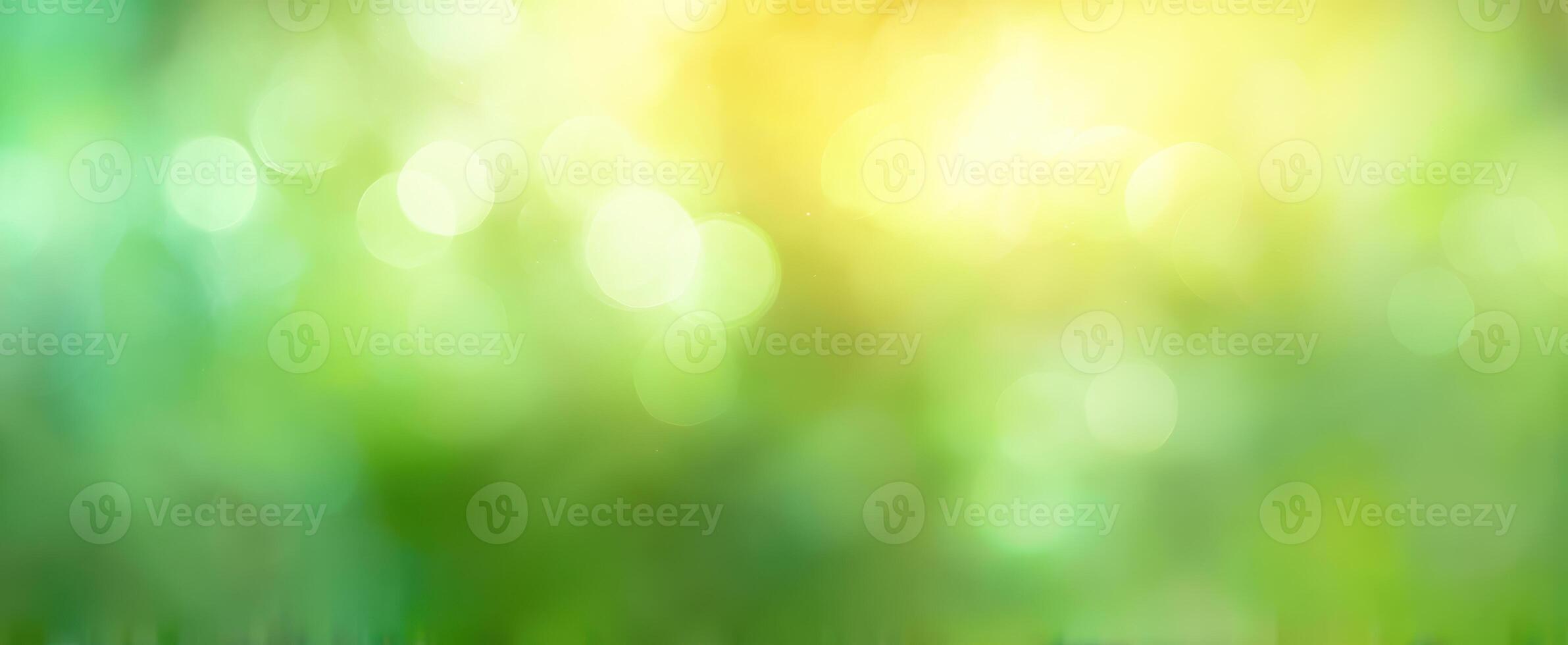 The serene bokeh of green and yellow light in a tranquil nature setting. photo