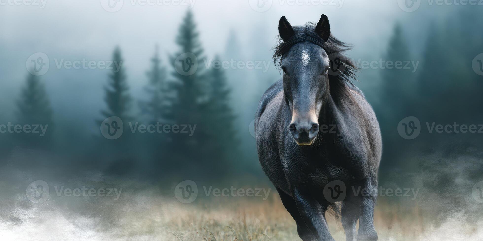 Black horse walks through misty forest with evergreen trees in the background and a moody atmosphere during early morning hours photo