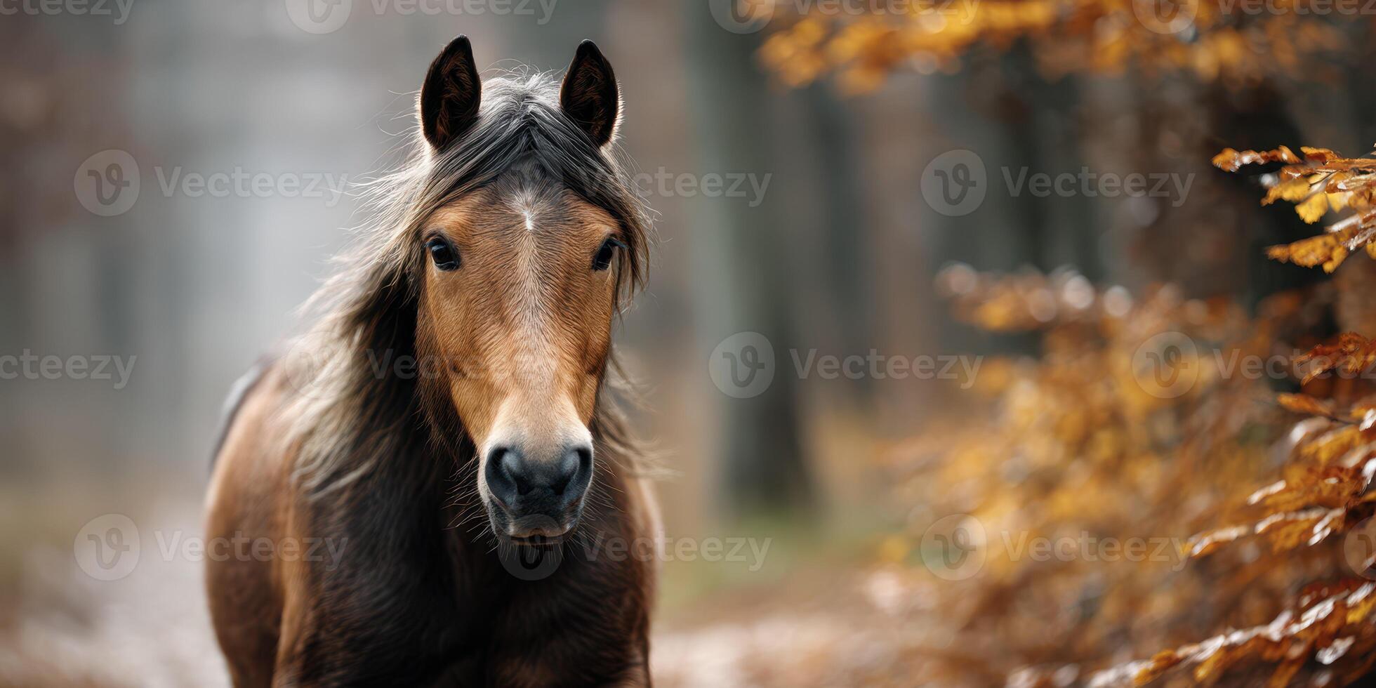 Majestic brown horse standing in a misty forest surrounded by autumn leaves photo