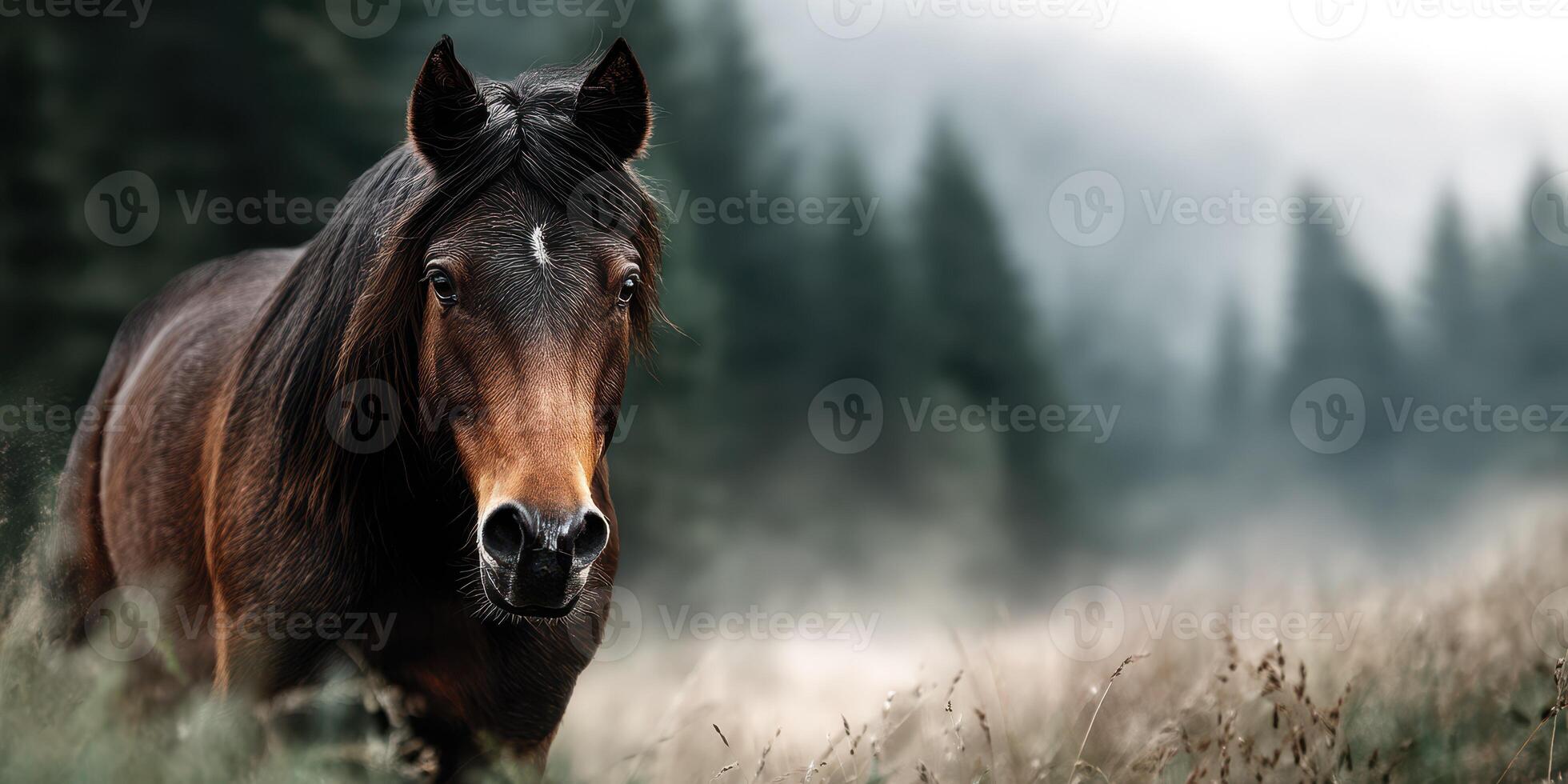 Wild horse gazes into the distance in a misty forest during early morning light photo