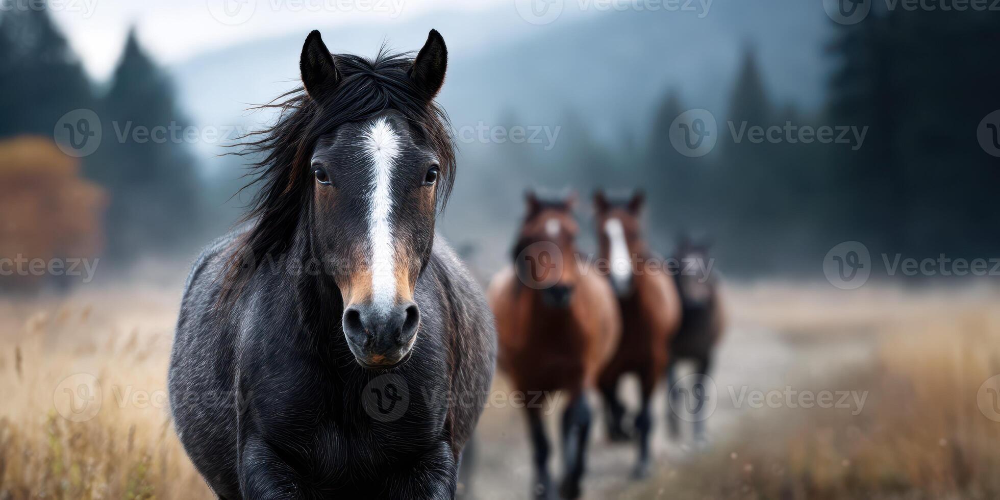 Horses running along a path in a misty landscape during early morning hours in a natural setting photo