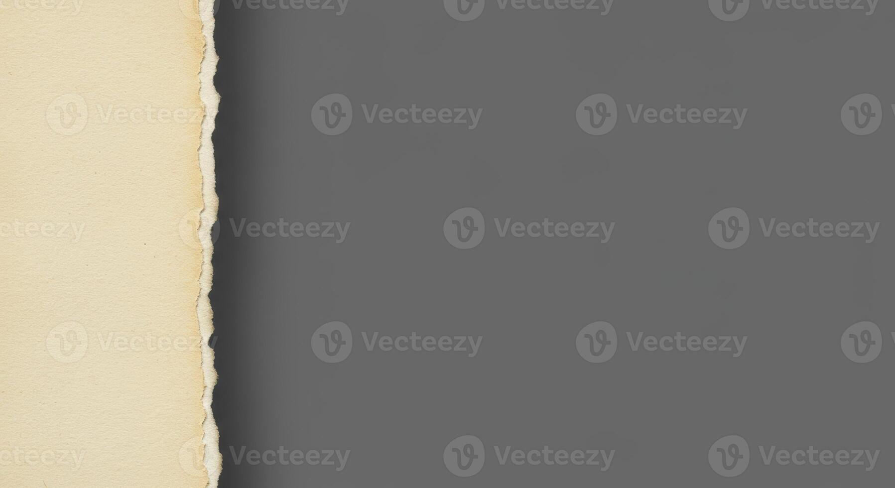 Close up of a torn paper edge texture photo