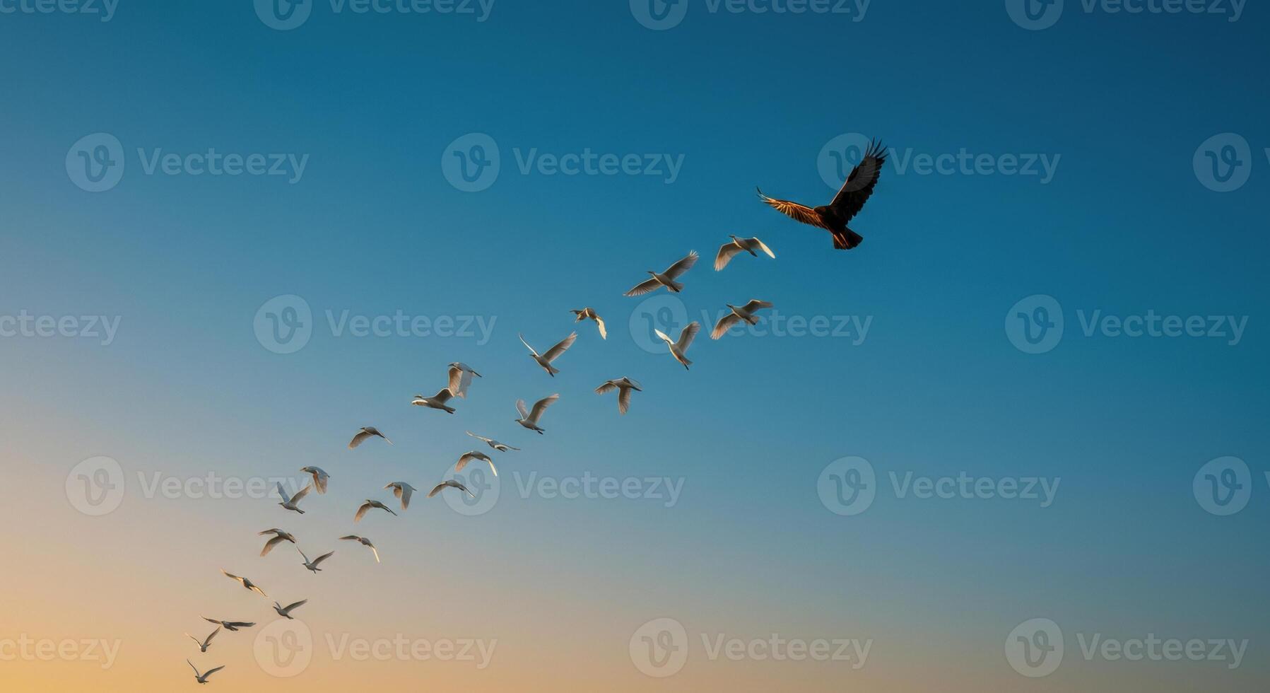 Golden eagle leading flock of birds flying in formation across blue sky photo