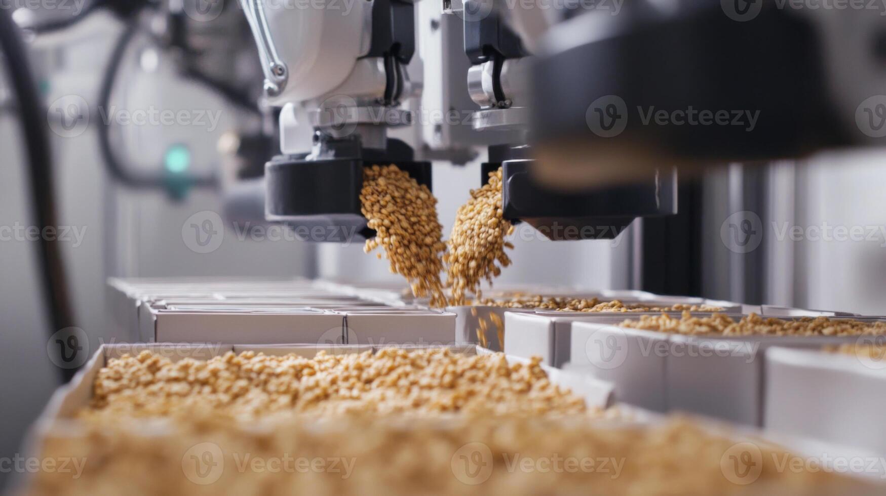 Automated Food Packaging with Cereal Grains Dispensing into Boxes photo
