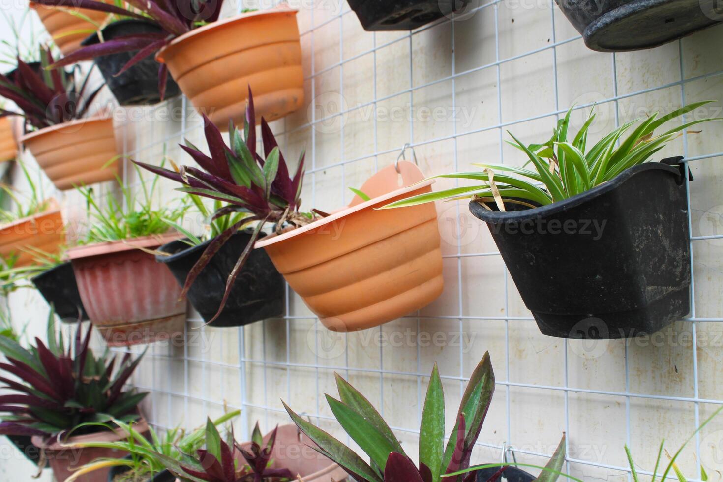 A wall with many pots of plants photo