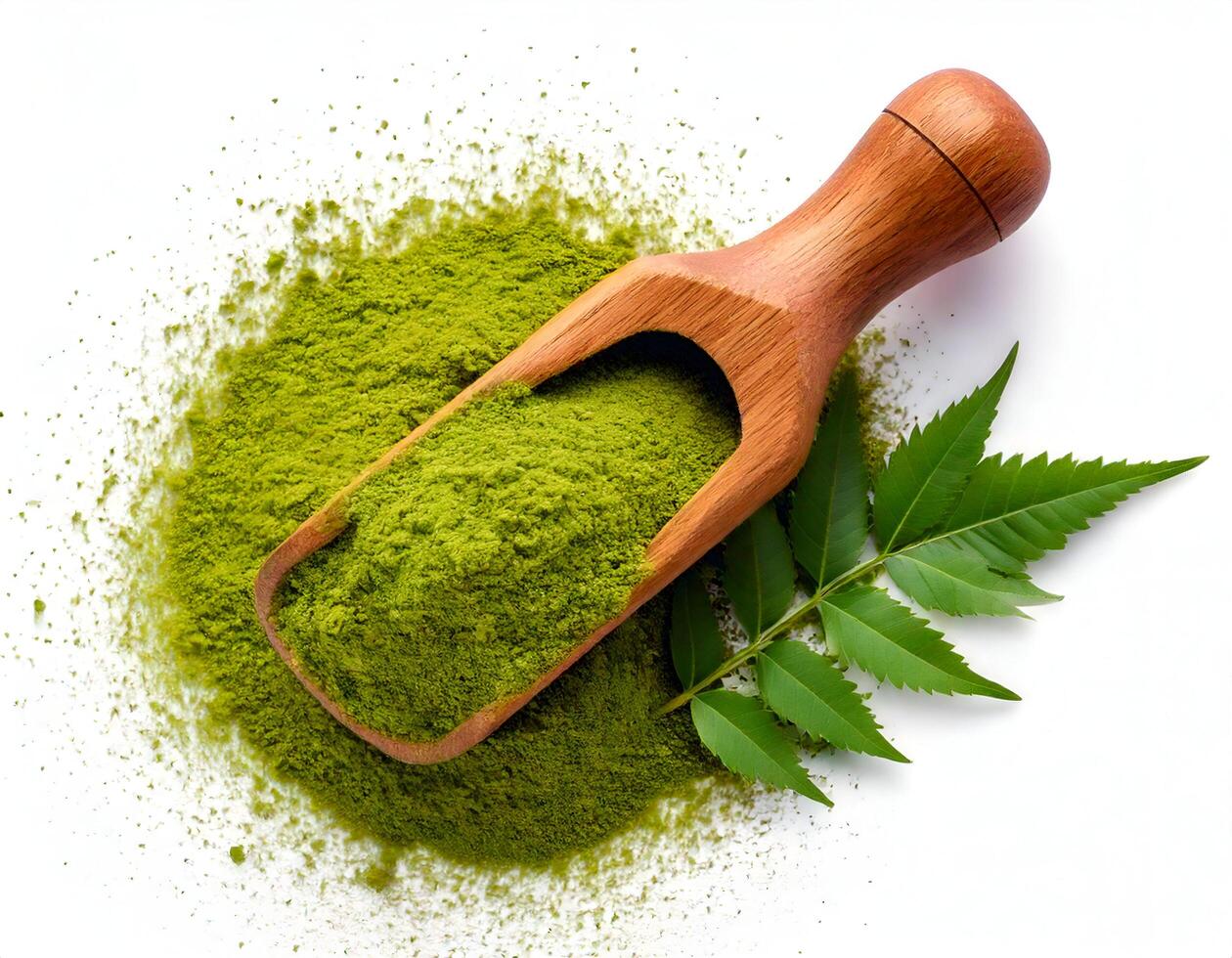 Neem leaf powder wooden spoon with green neem leaf on white background photo