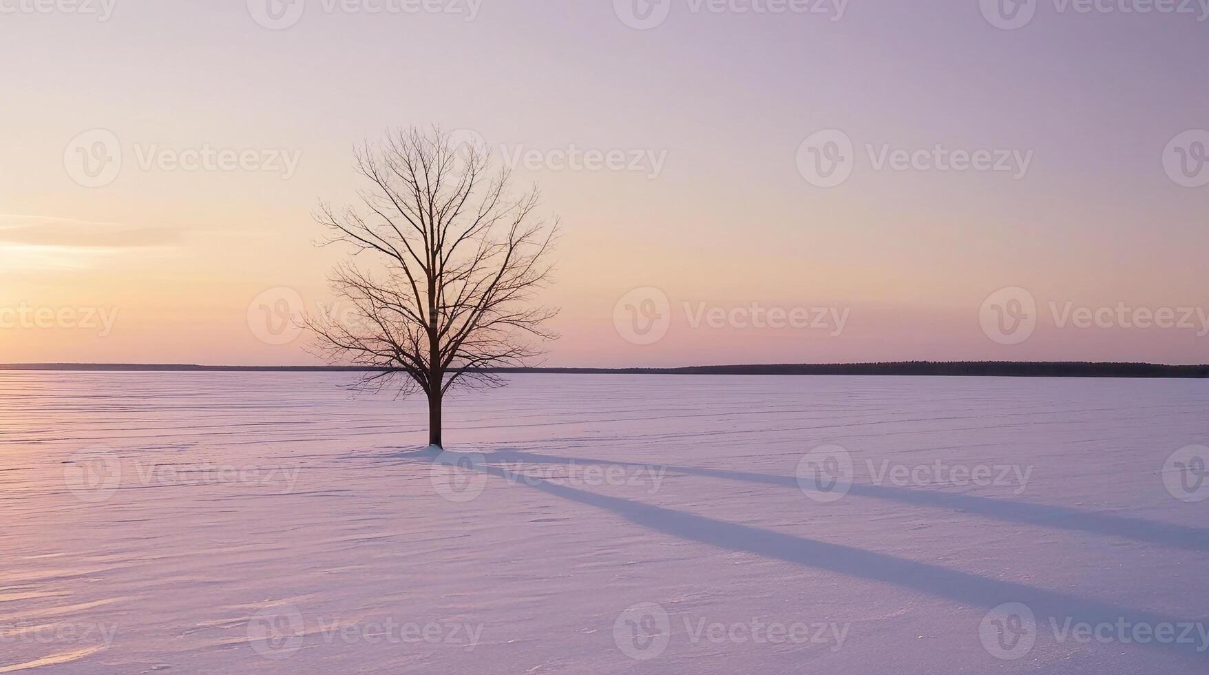 A solitary tree standing on a vast, snowy plain during sunset. photo