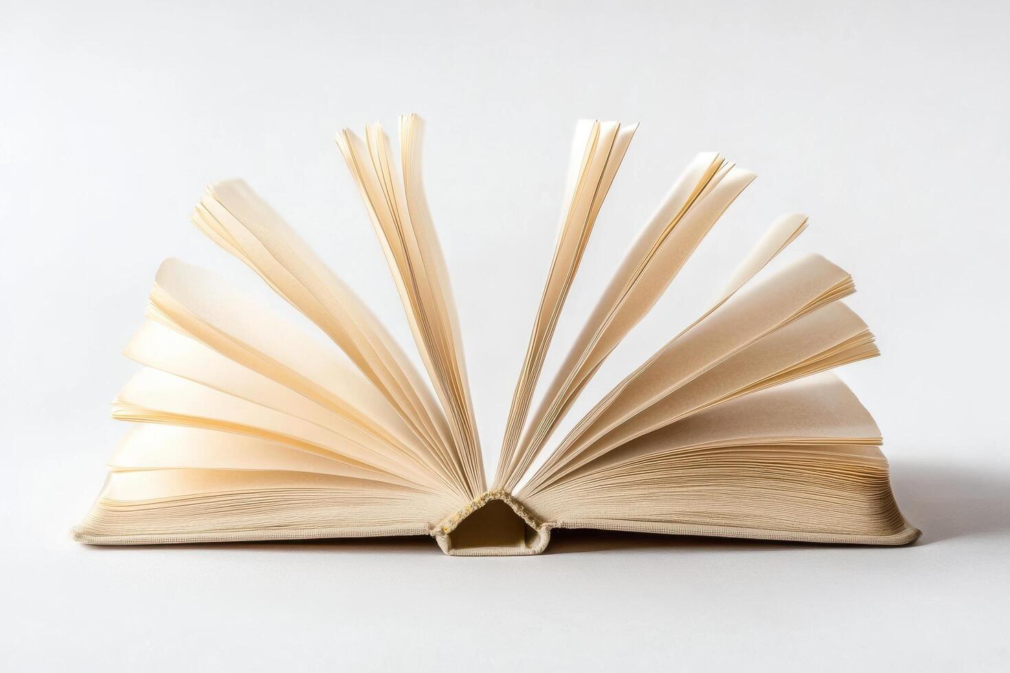 Open Book with Fanned Pages - Artistic Still Life on White photo