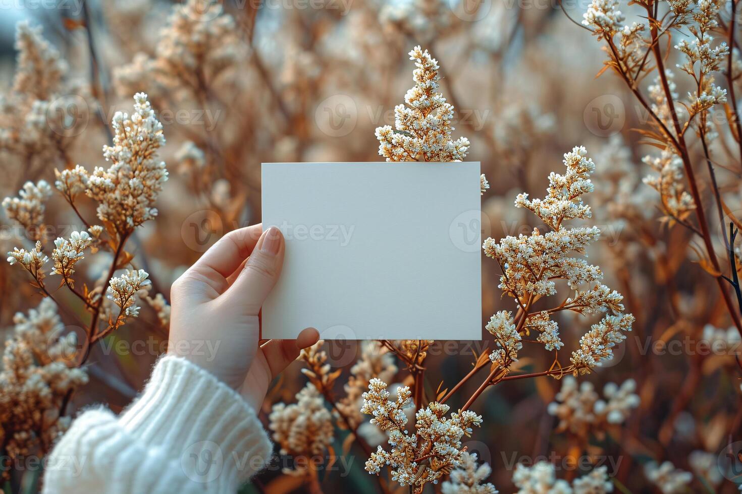 A person holding a blank piece of paper in front of a field of flowers photo