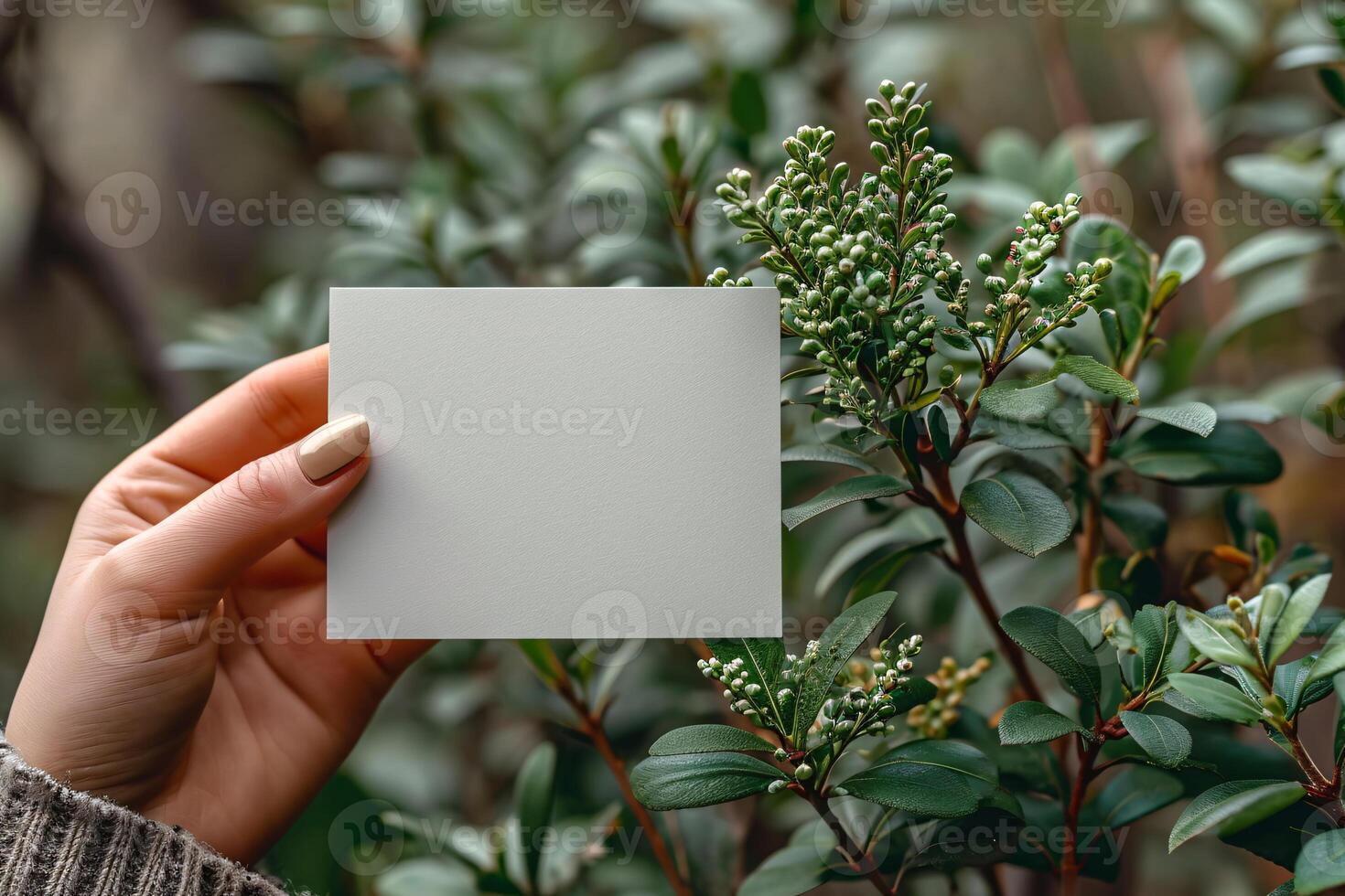 Woman holding blank card in front of green bush photo