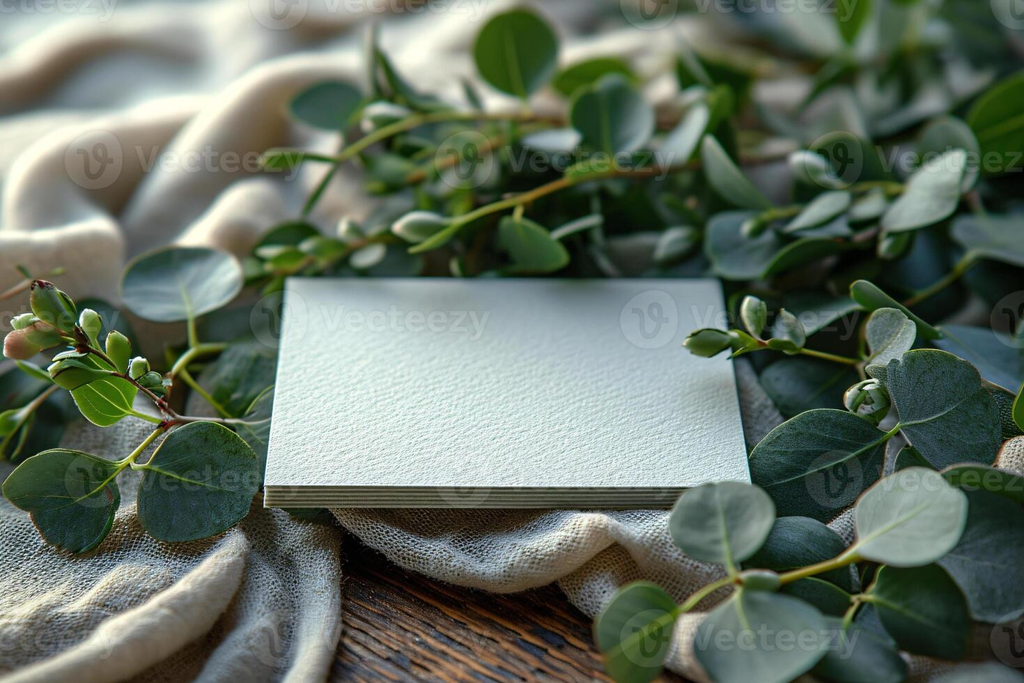 A white square on a table with eucalyptus leaves photo