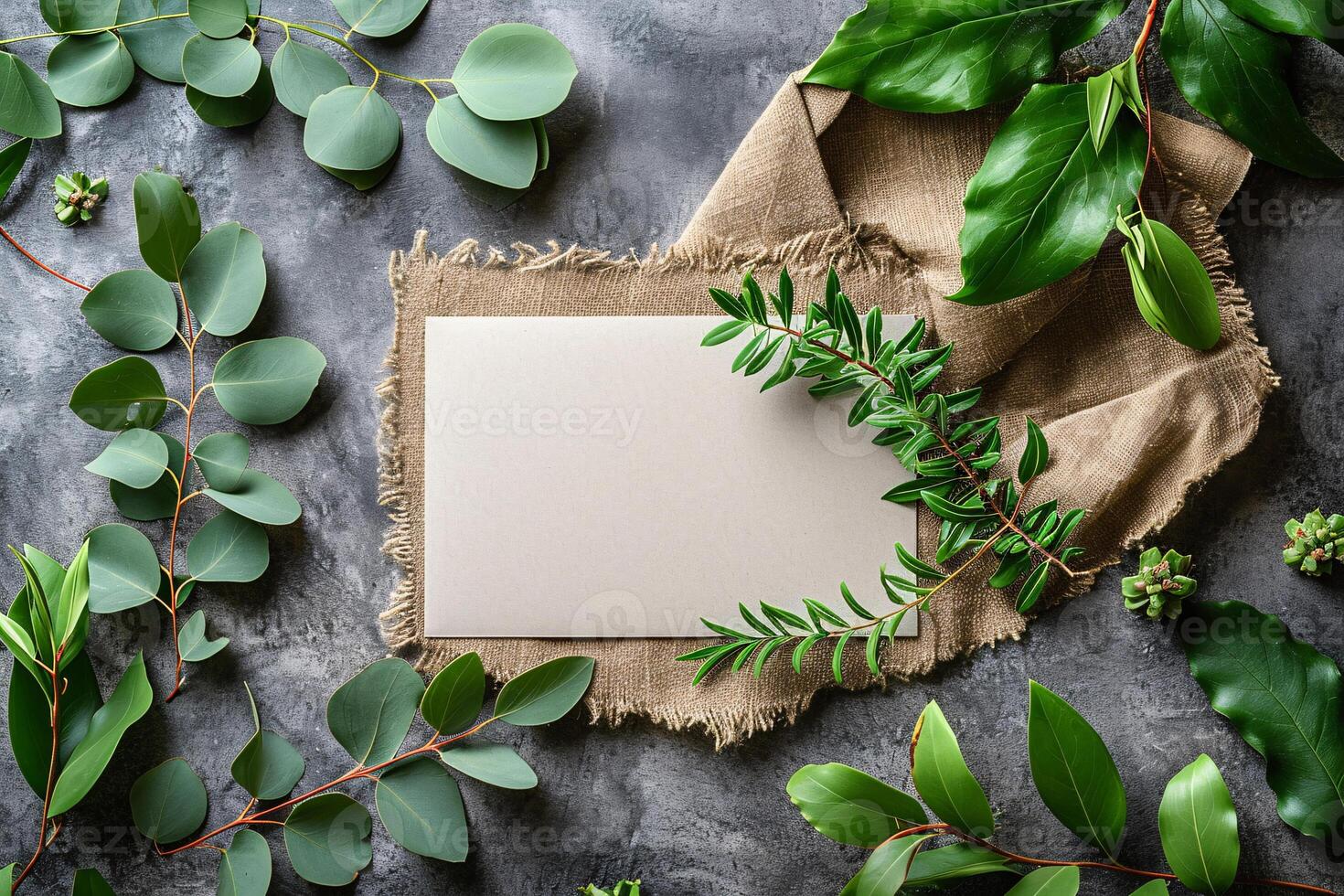 Blank paper with eucalyptus leaves on a dark background photo