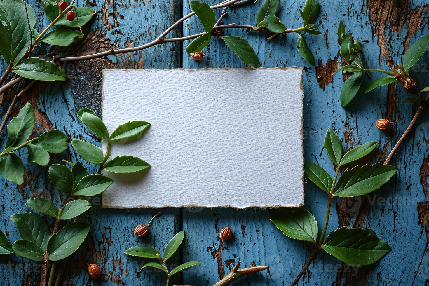 A blank piece of paper surrounded by green leaves and nuts photo