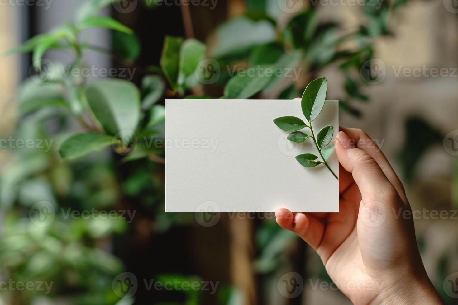 A hand holding a blank card with a leaf on it photo