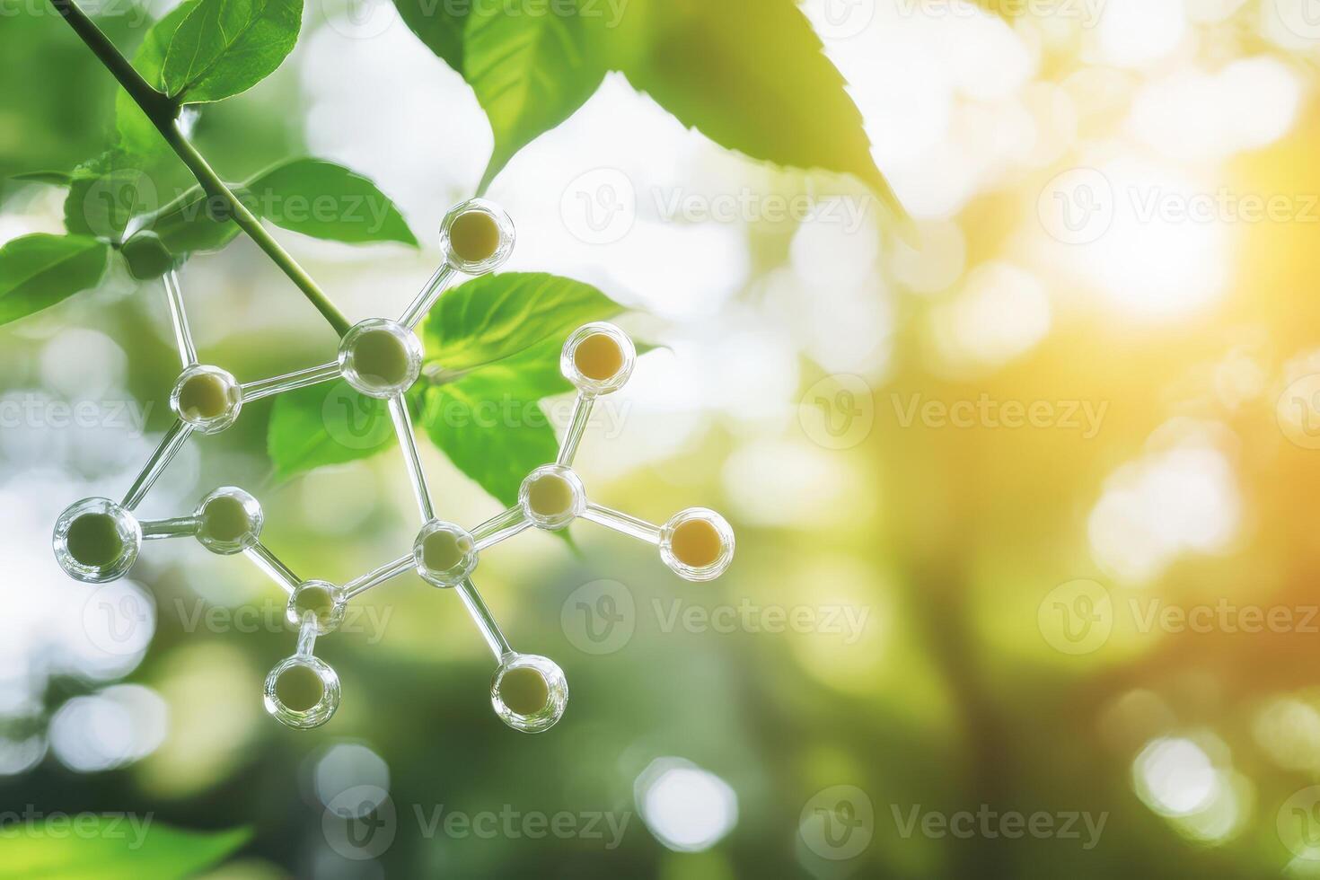 Molecular model set in greenery photo