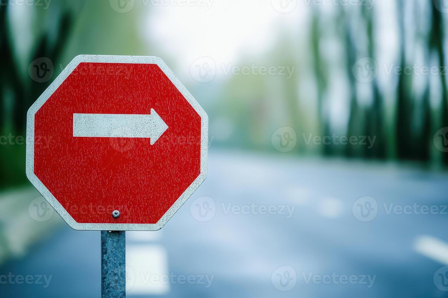 Stop sign with directional arrow on quiet road photo
