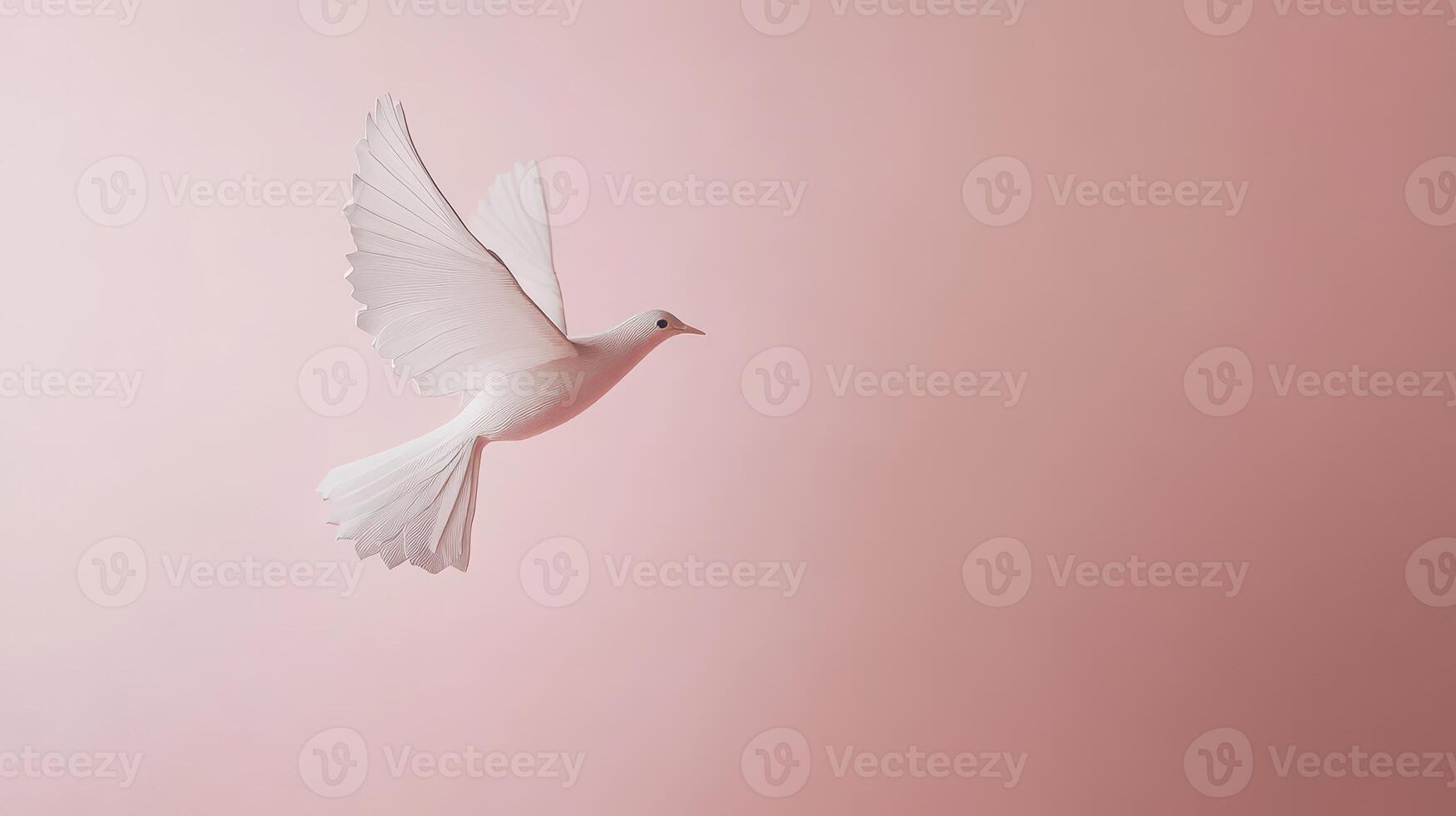 White bird in flight against soft pink backdrop photo