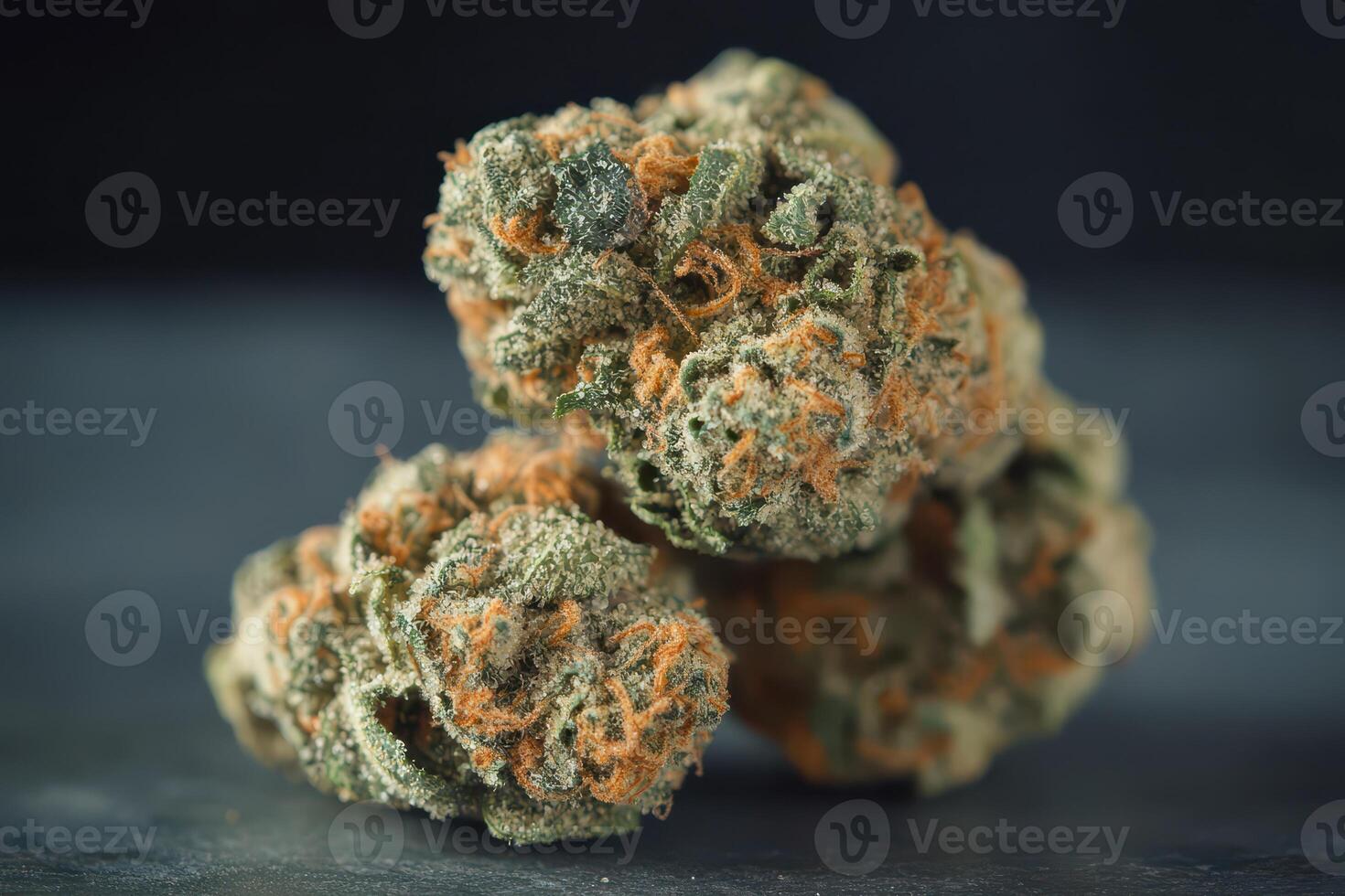 Close up of fresh cannabis buds on dark background photo